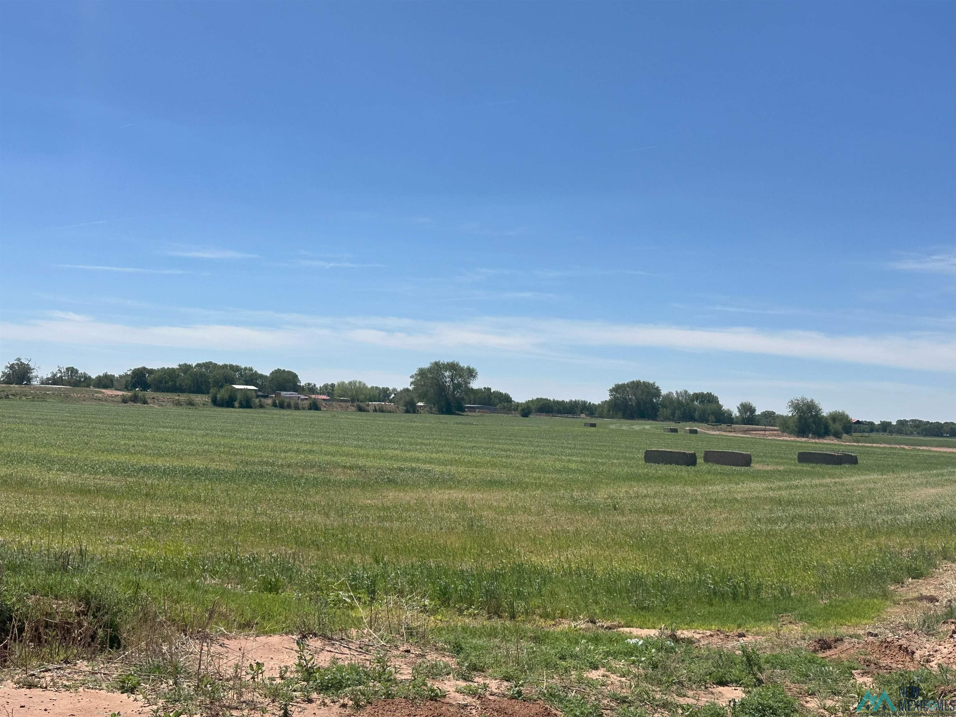 Pecan Street, Fort Sumner, Texas image 1