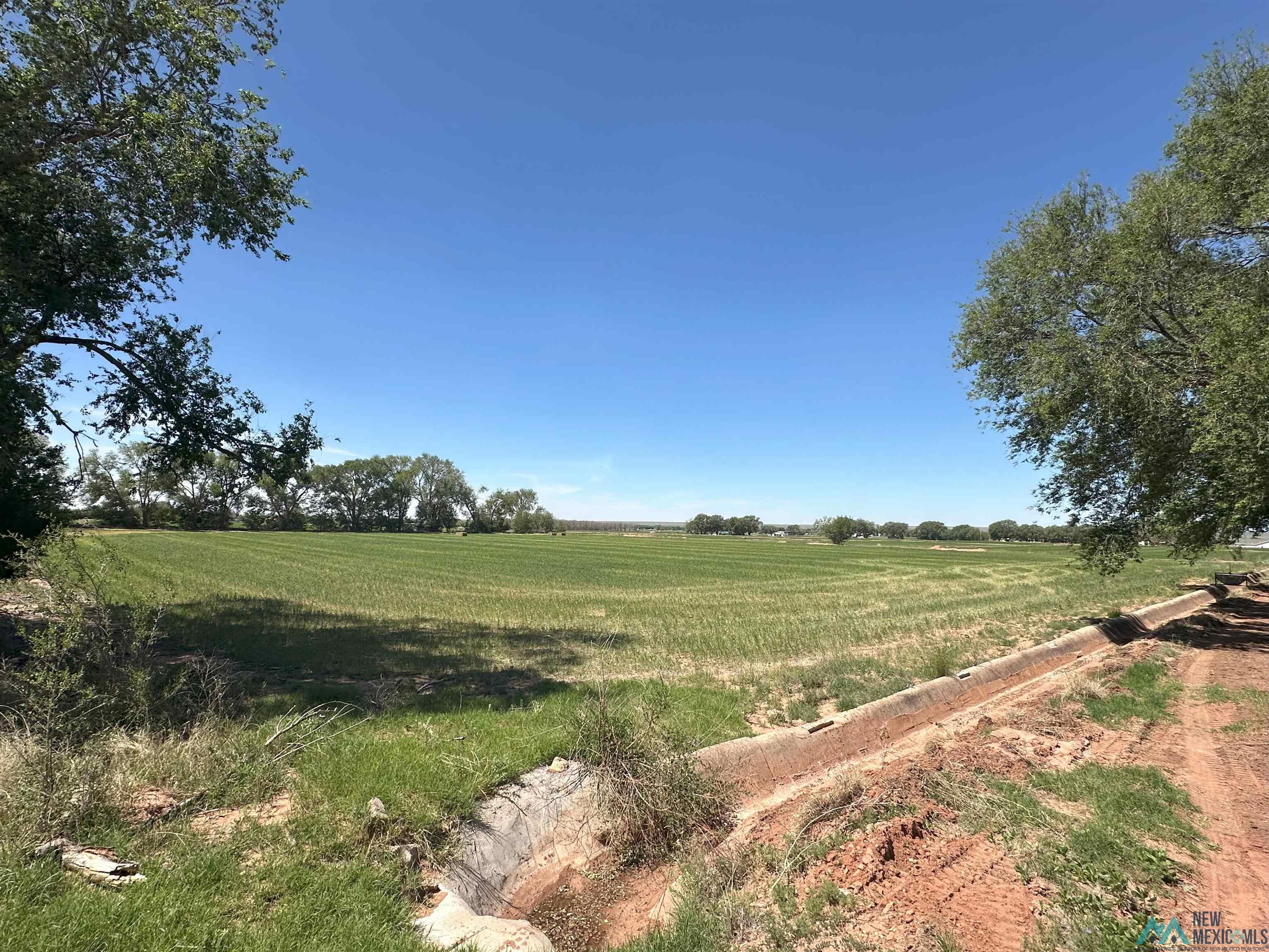 Pecan Street, Fort Sumner, Texas image 4