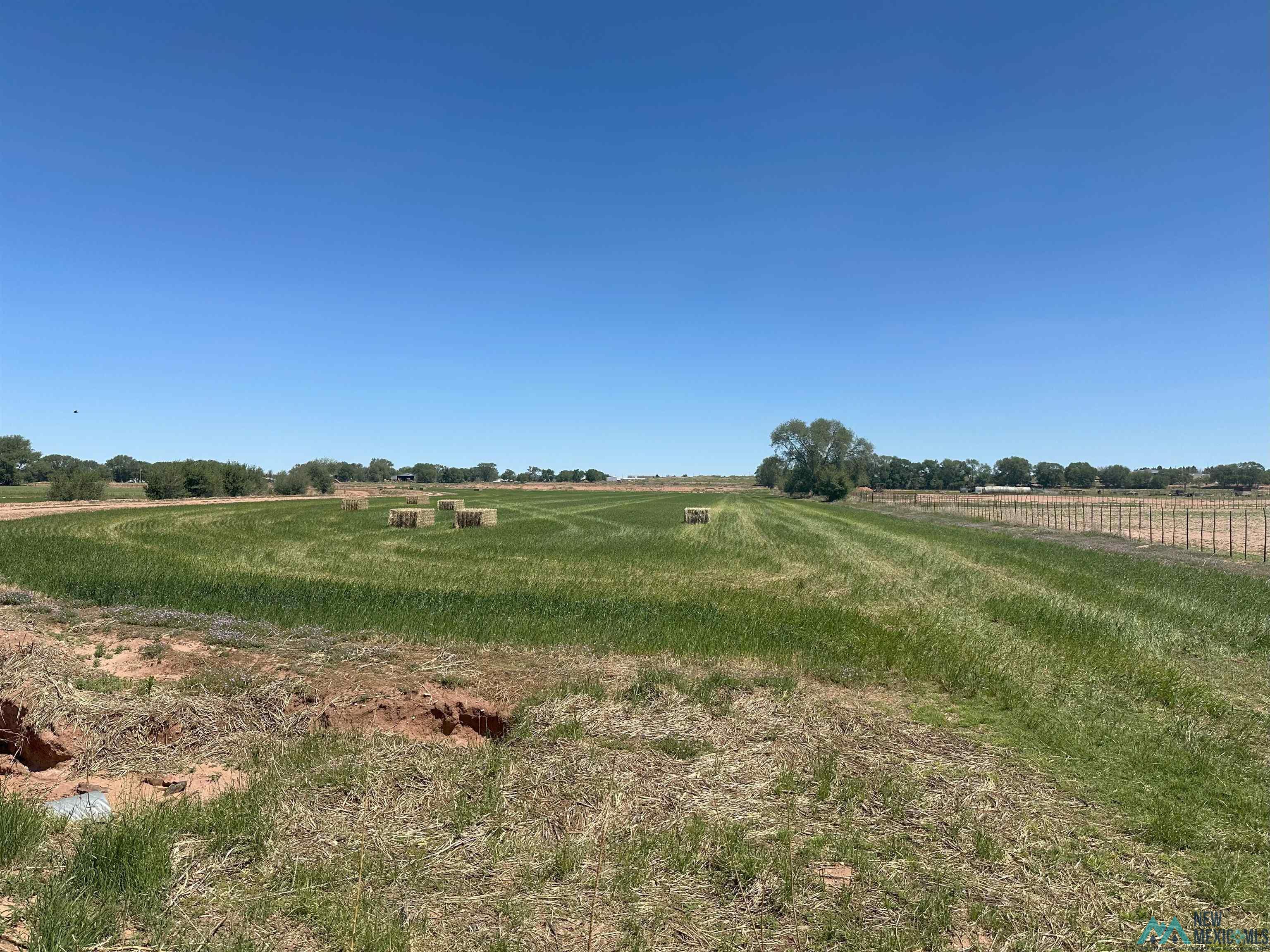 Pecan Street, Fort Sumner, Texas image 3