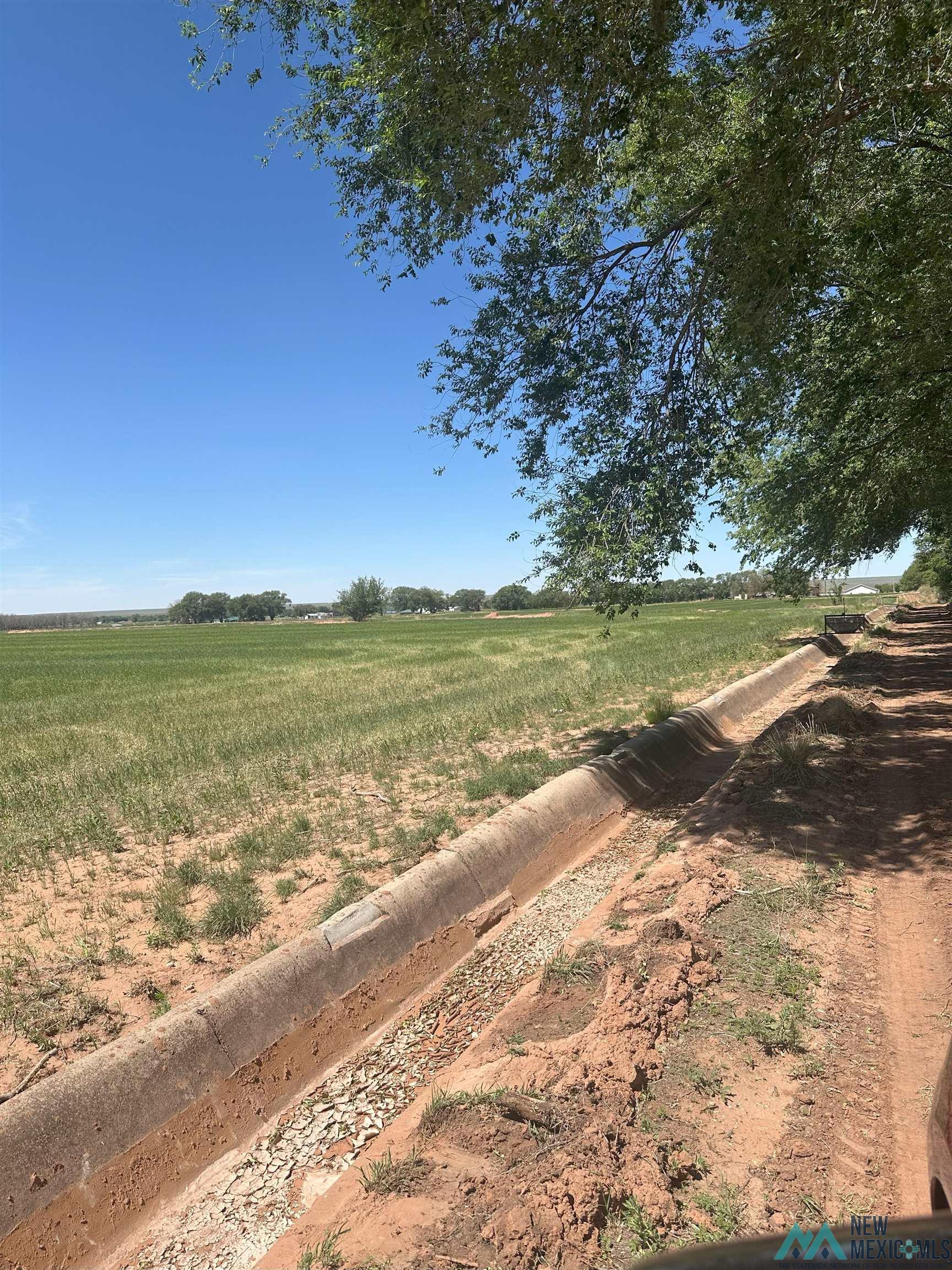 Pecan Street, Fort Sumner, Texas image 5
