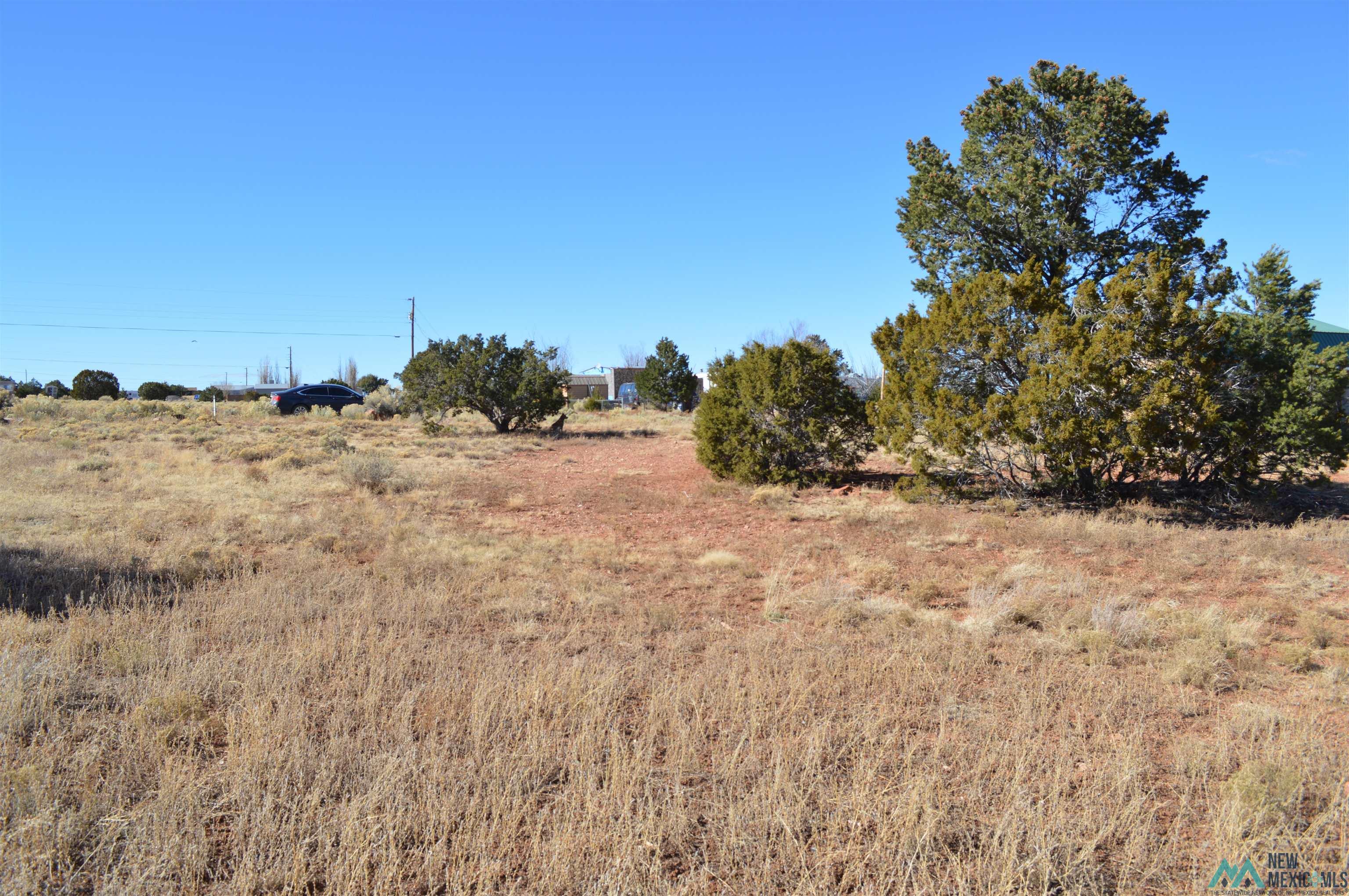 LOT 2 Tbd Morrow Drive, Thoreau, Texas image 7