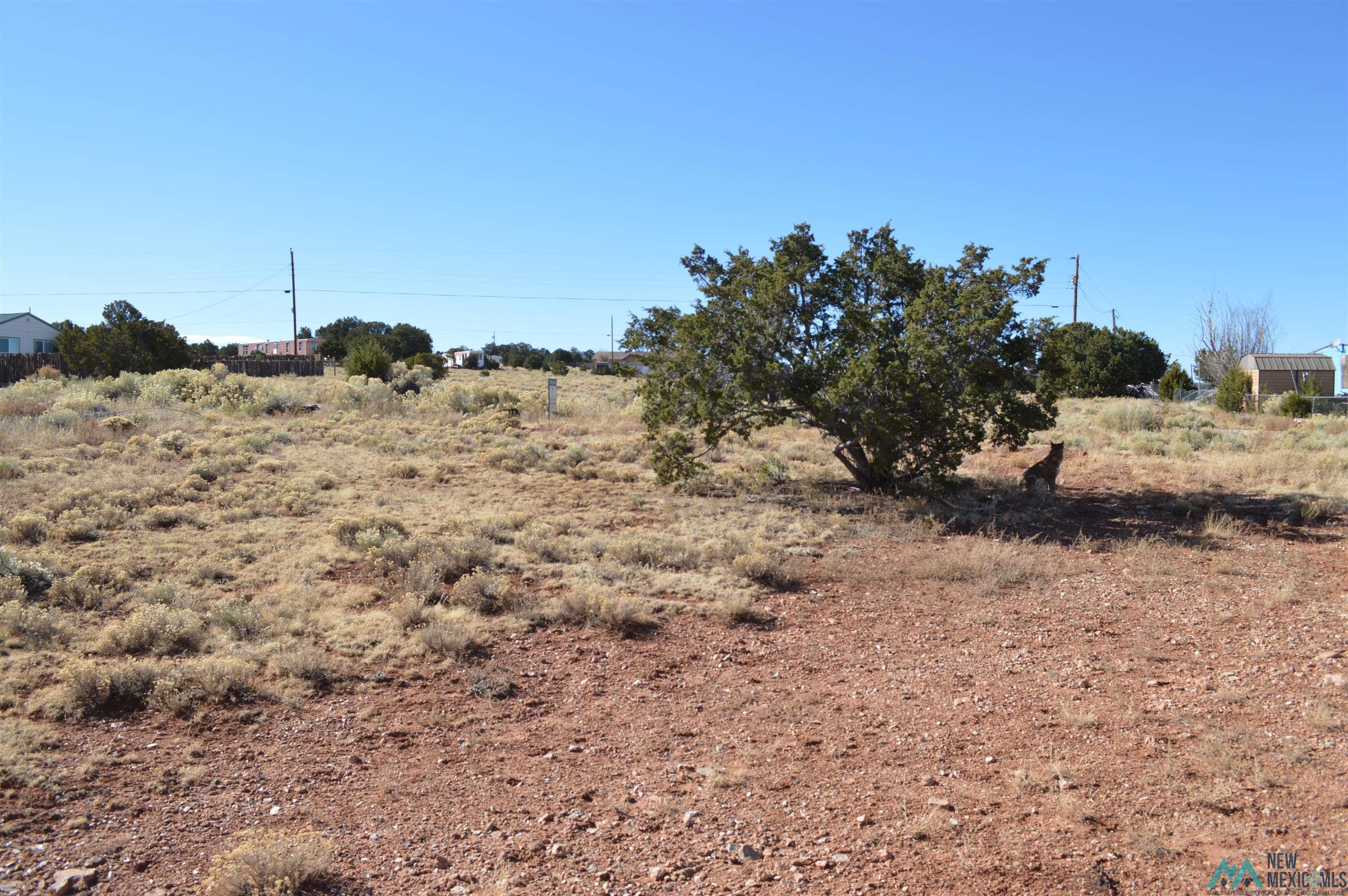 LOT 2 Tbd Morrow Drive, Thoreau, Texas image 12