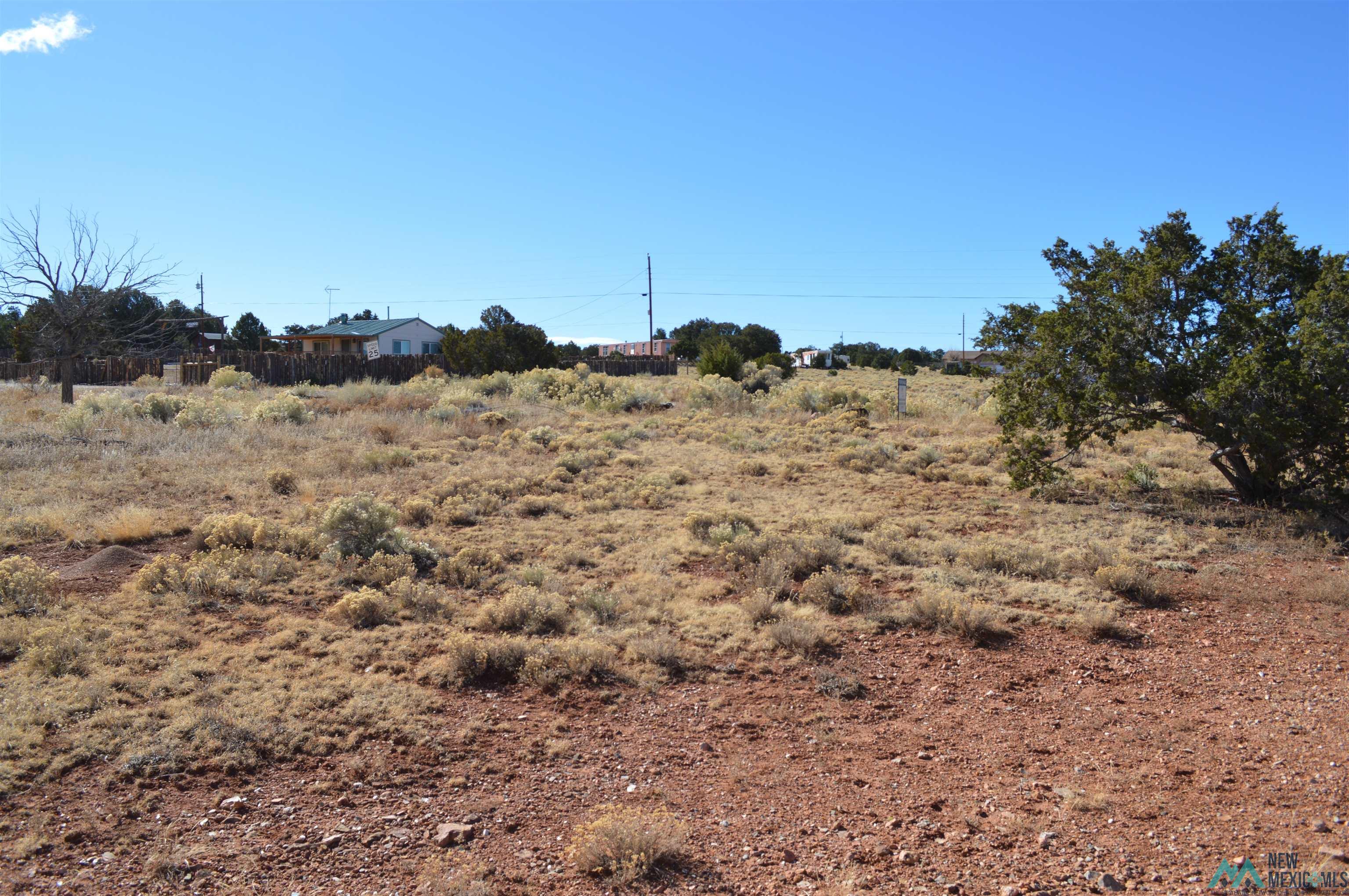 LOT 2 Tbd Morrow Drive, Thoreau, Texas image 11