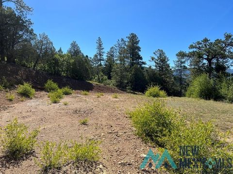 Vacant Land For Sale - TBD Vega View Road<br/> Rio Arriba County, Chama, NM 87520