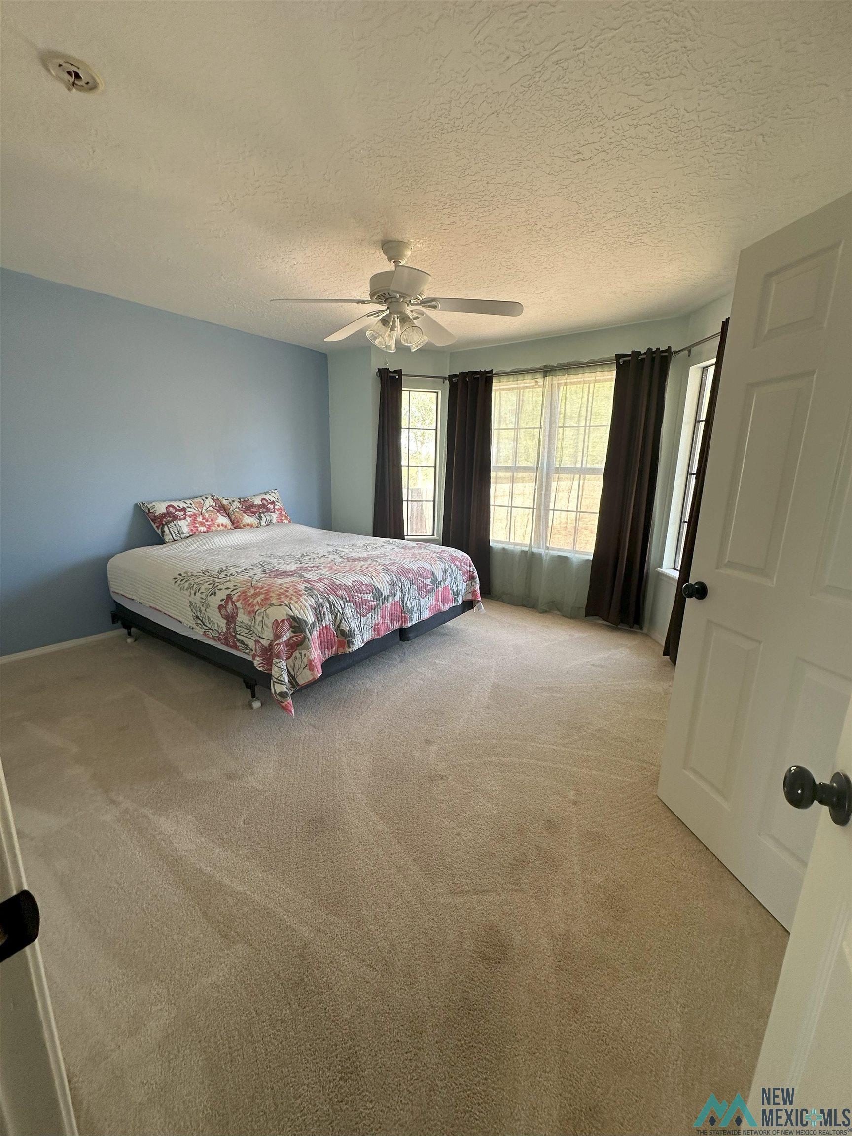1711 E Orchard Avenue, Fort Sumner, Texas image 4