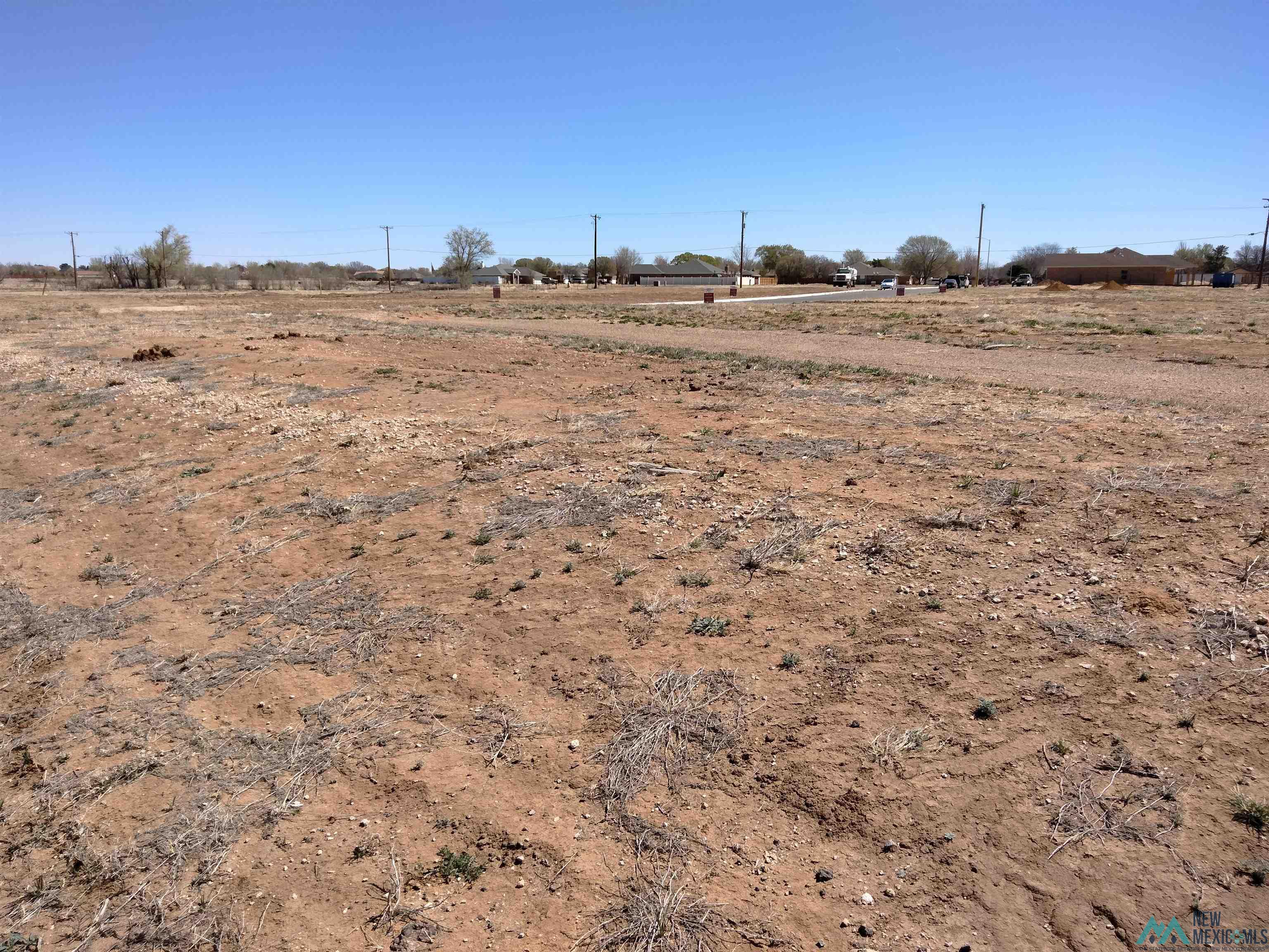 1503 Arbor Drive, Clovis, New Mexico image 9