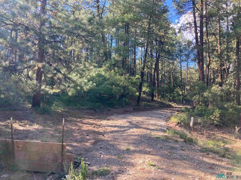 Vacant Land For Sale - TBD Serenity Drive<br/> Rio Arriba County, Chama, NM 87520