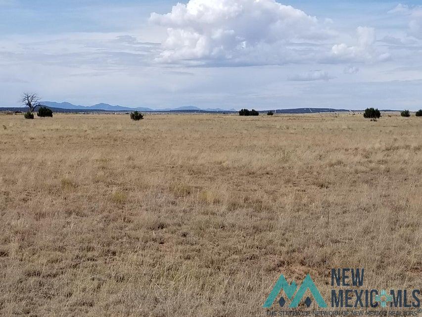 40 Giraudo Road, Estancia, New Mexico image 1