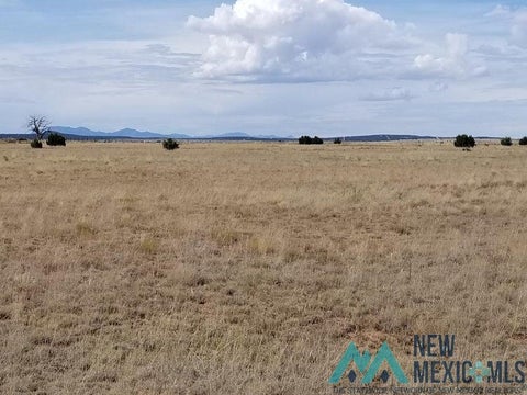 Vacant Land For Sale - 40 Giraudo Road<br/> Estancia, NM 87016