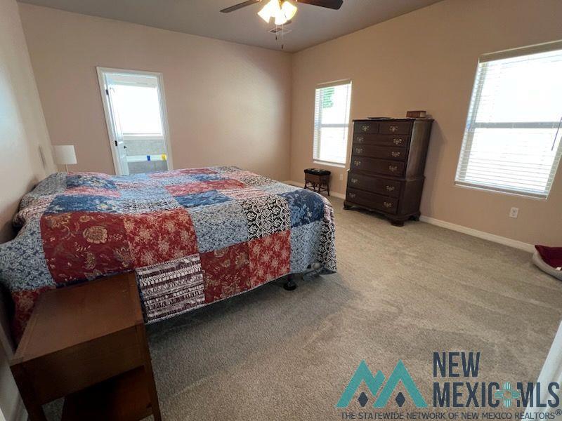 1849 Troy Drive, Carlsbad, New Mexico image 15