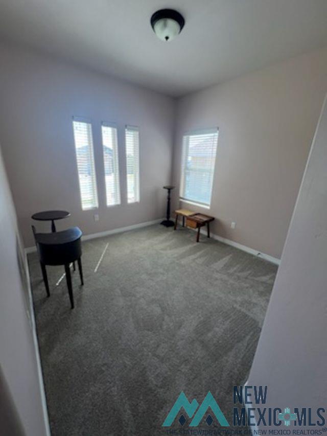 1849 Troy Drive, Carlsbad, New Mexico image 13