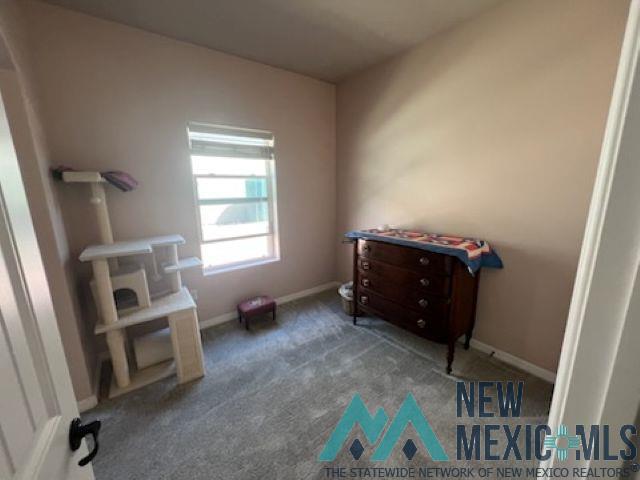 1849 Troy Drive, Carlsbad, New Mexico image 17