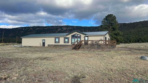 Homes For Sale - 73 Sombra Del Gallo Road<br/> Catron County, Quemado, NM 87829