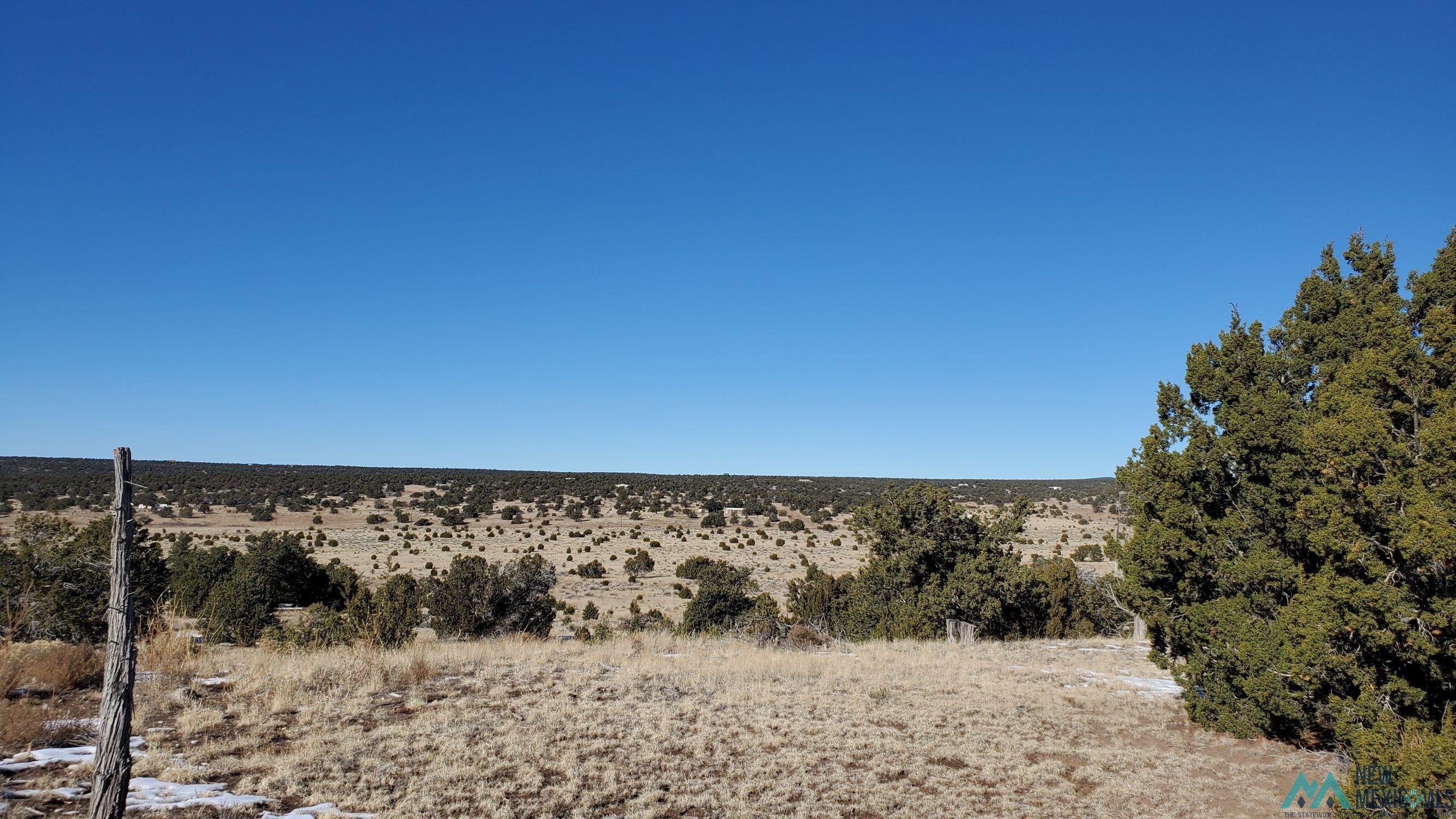 Indian Maiden Court, Quemado, New Mexico image 3