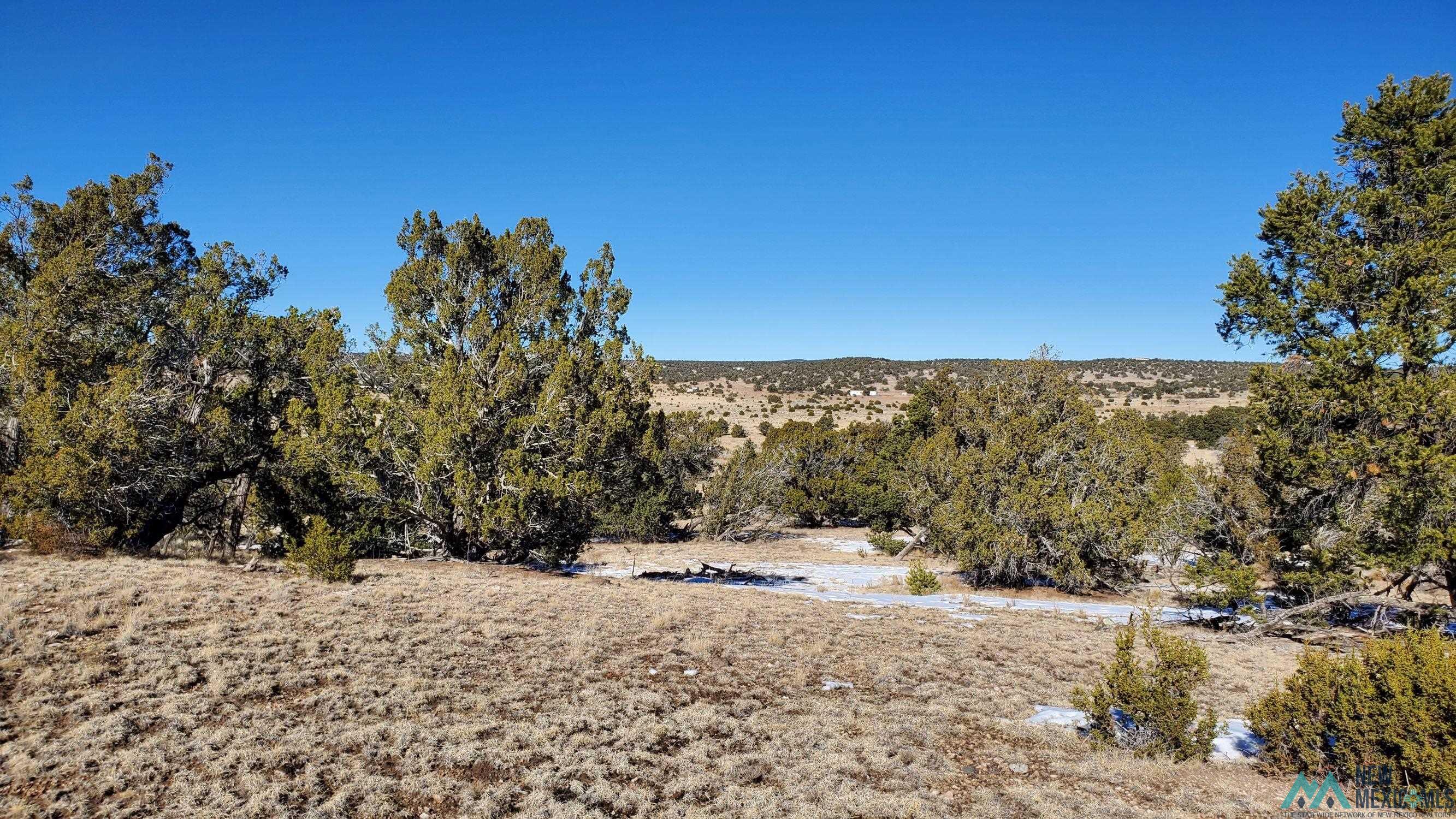 Indian Maiden Court, Quemado, New Mexico image 5