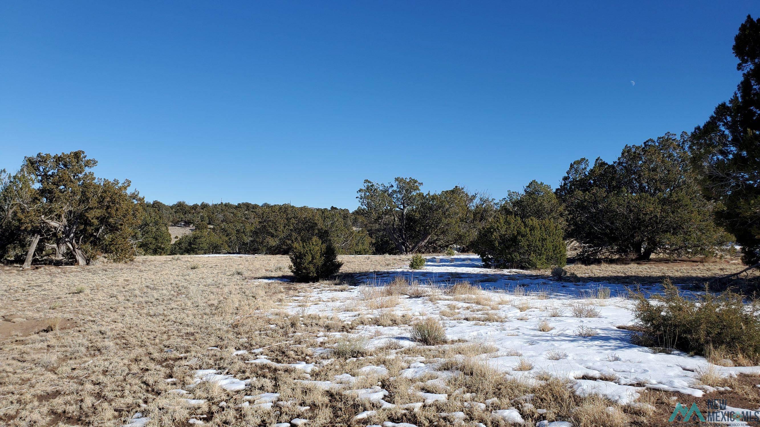 Indian Maiden Court, Quemado, New Mexico image 2