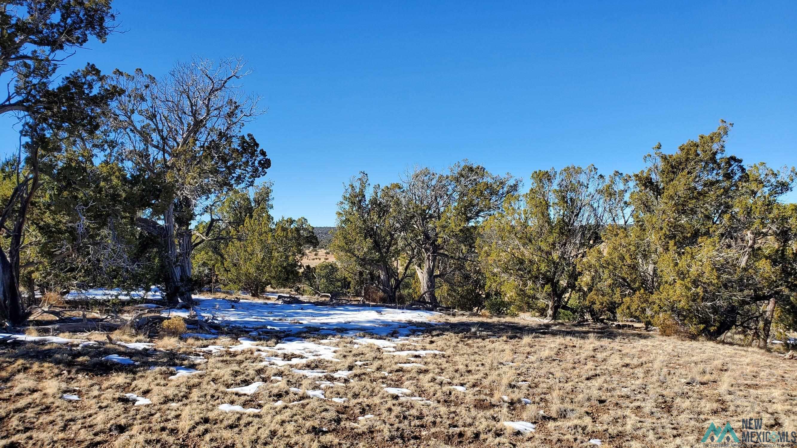 Indian Maiden Court, Quemado, New Mexico image 6