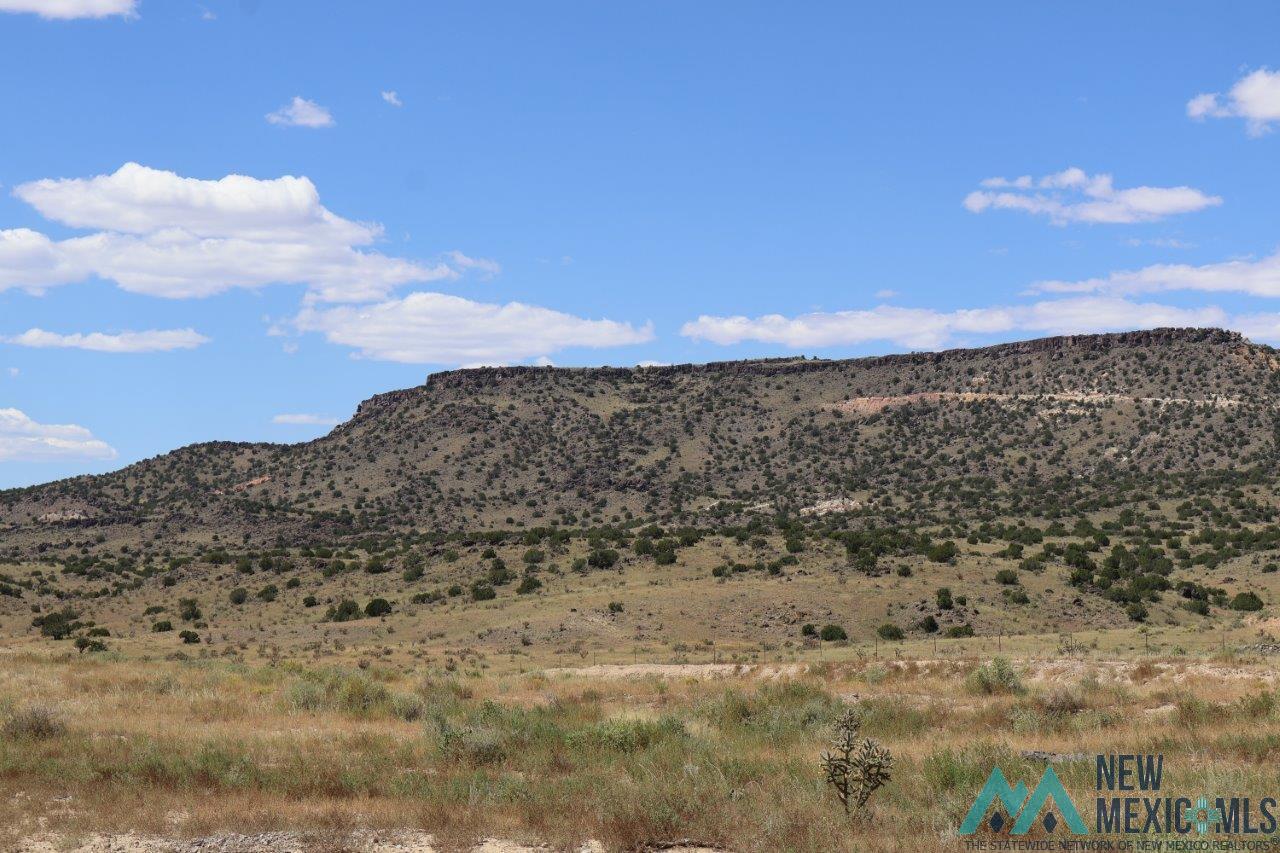 TBD Lobo Road, Grants, New Mexico image 1