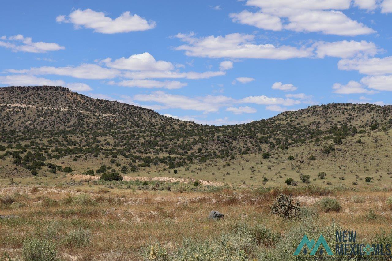 TBD Lobo Road, Grants, New Mexico image 3