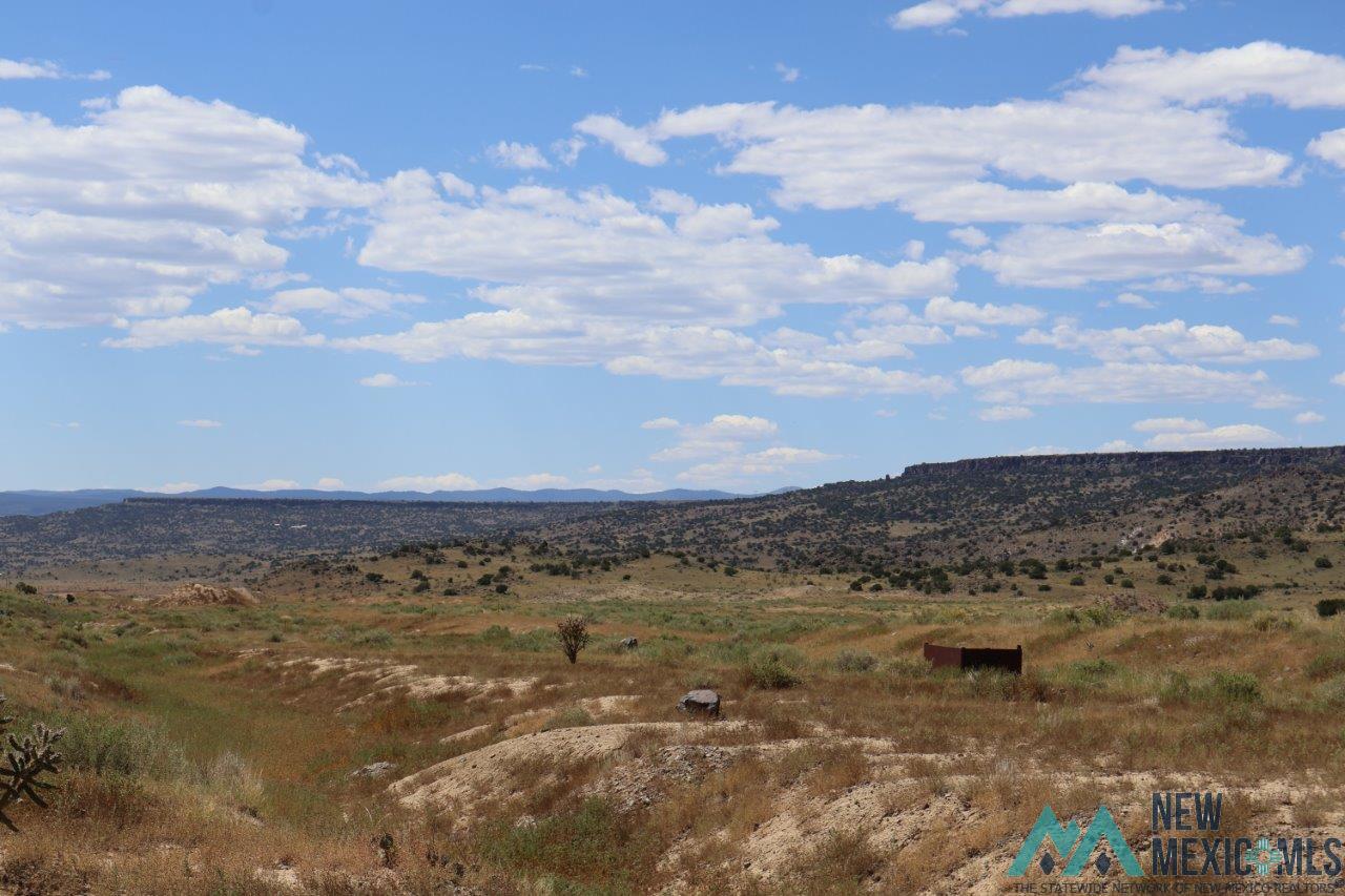 TBD Lobo Road, Grants, New Mexico image 4