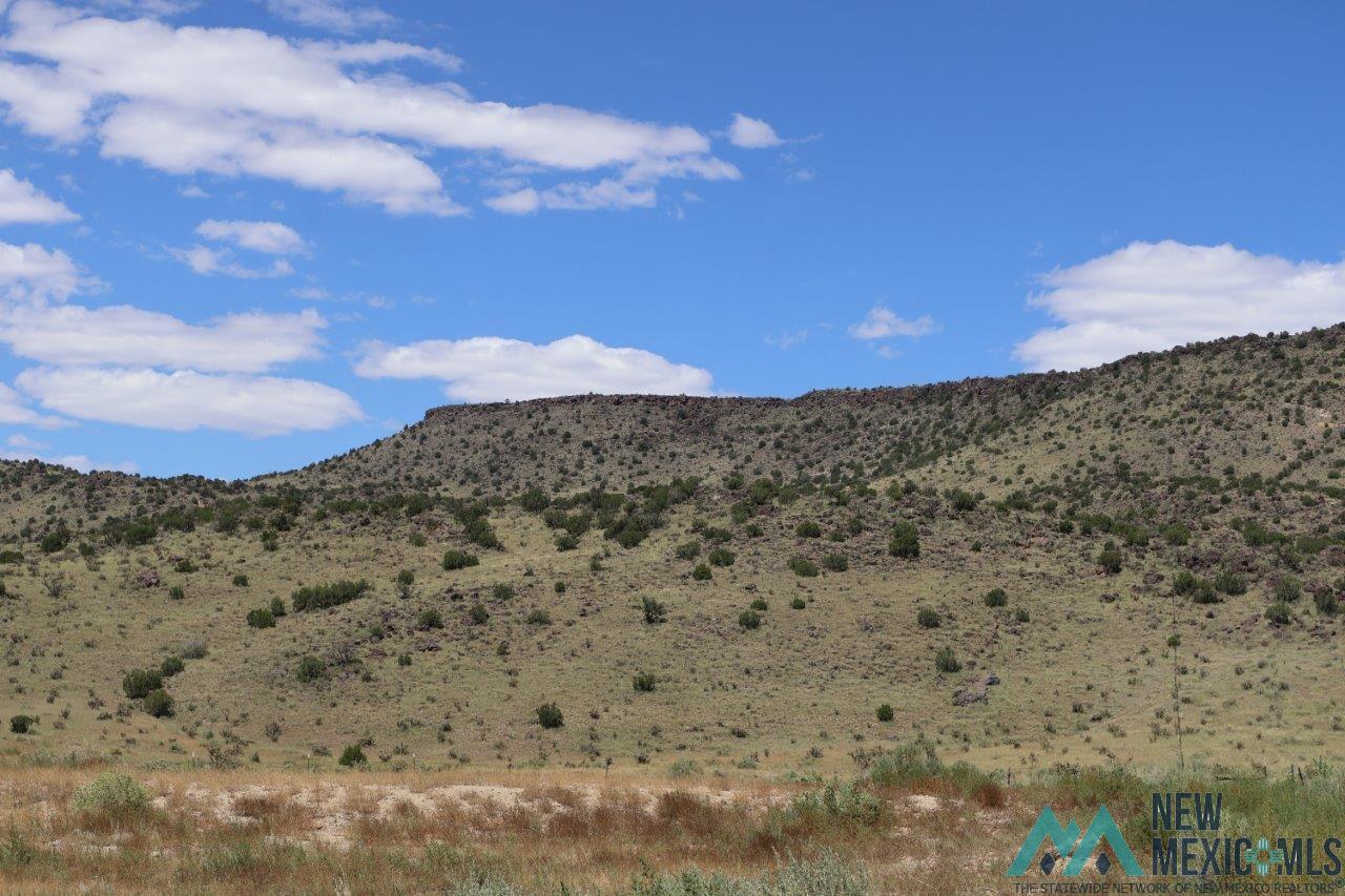 TBD Lobo Road, Grants, New Mexico image 2