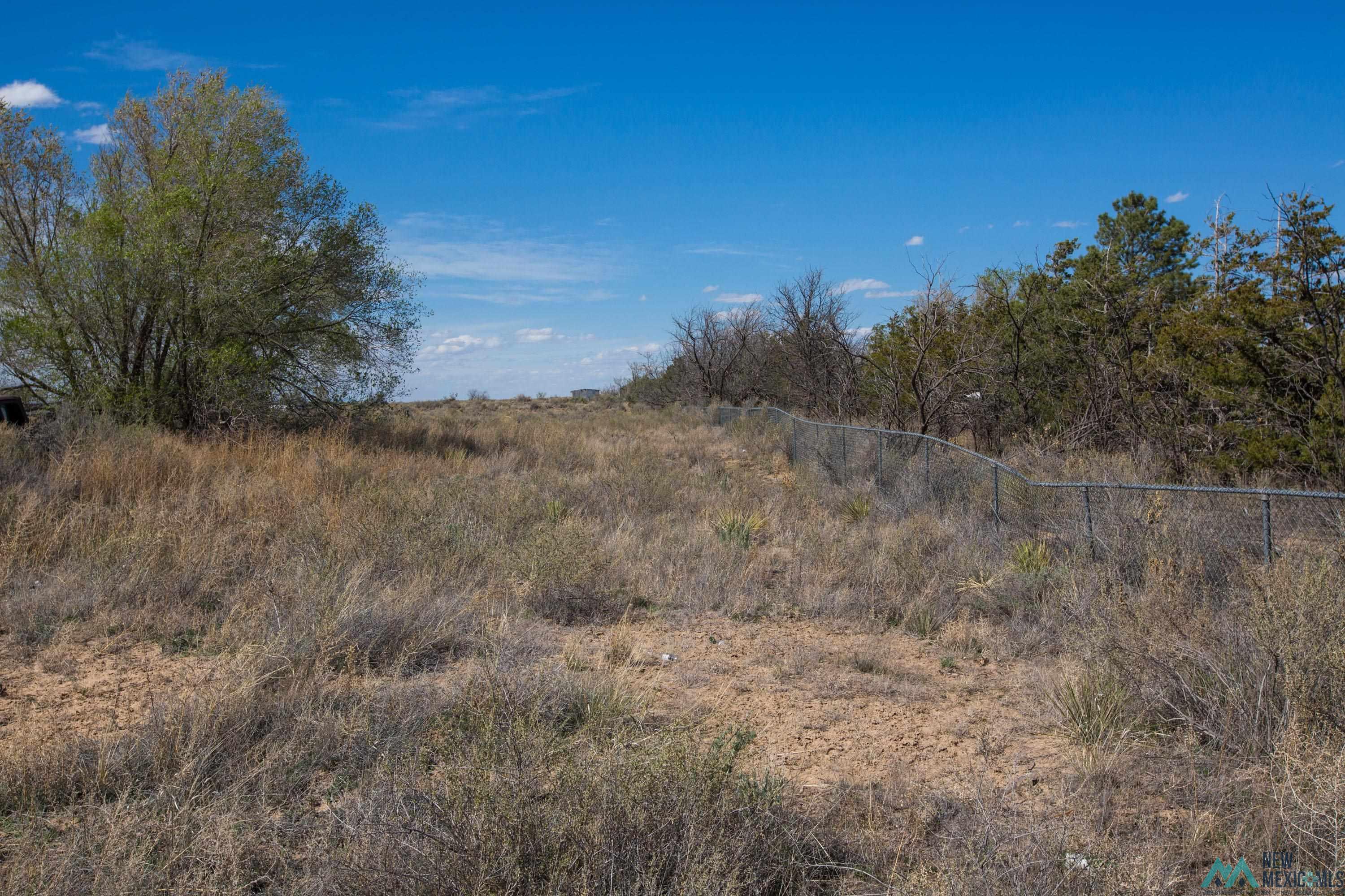 Lot: 1 Block 11, Willard, New Mexico image 1