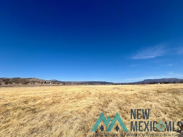 Market Street, Raton, New Mexico image 10