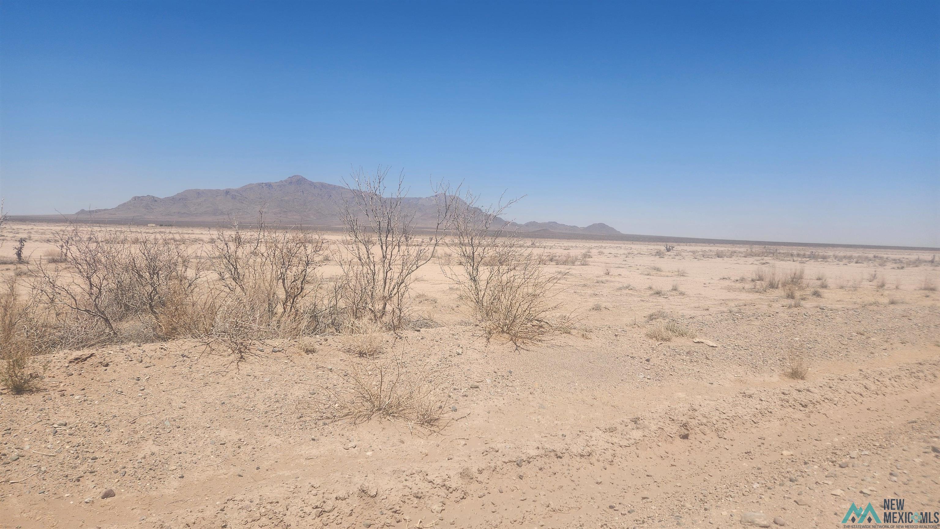 00 Columbus Highway, Deming, New Mexico image 1