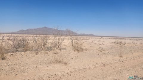 Vacant Land For Sale - 00 Columbus Highway<br/> Luna County, Deming, NM 88030
