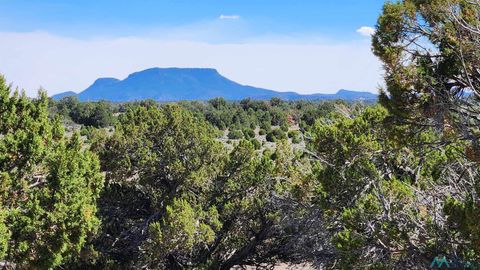 Vacant Land For Sale - TBD Ocaso Road<br/> Catron County, Pie Town, NM 87827