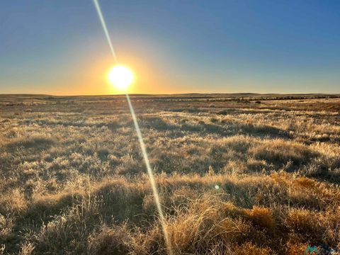 Vacant Land For Sale - LOT 10 Buena Vida<br/> Chaves County, Roswell, NM 88203