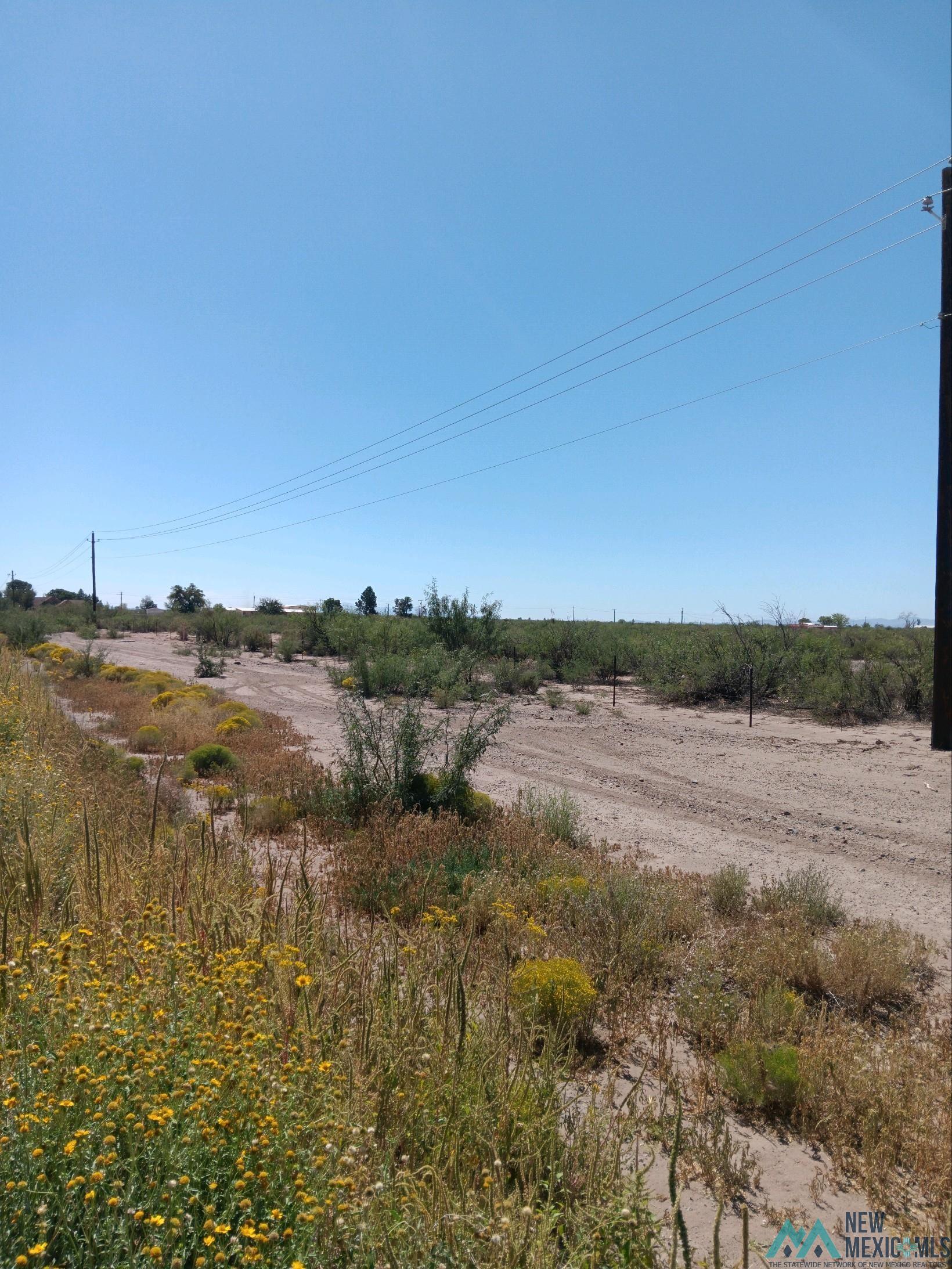 0000 S Columbus Roads, Deming, New Mexico image 3