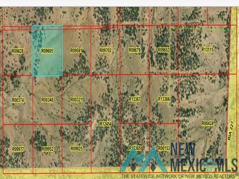 Vacant Land For Sale - LOT 40 La Tinaja Trail<br/> Pinehill, NM 87357