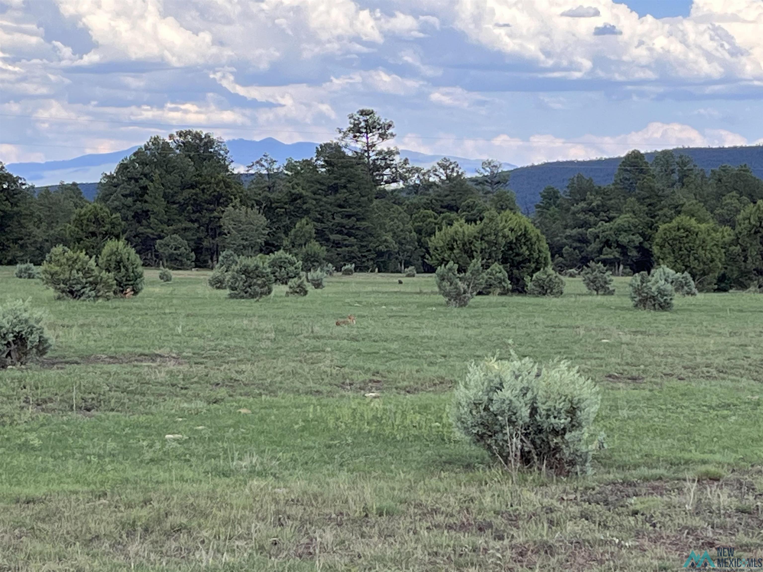 58 Brown Lane, Reserve, New Mexico image 14