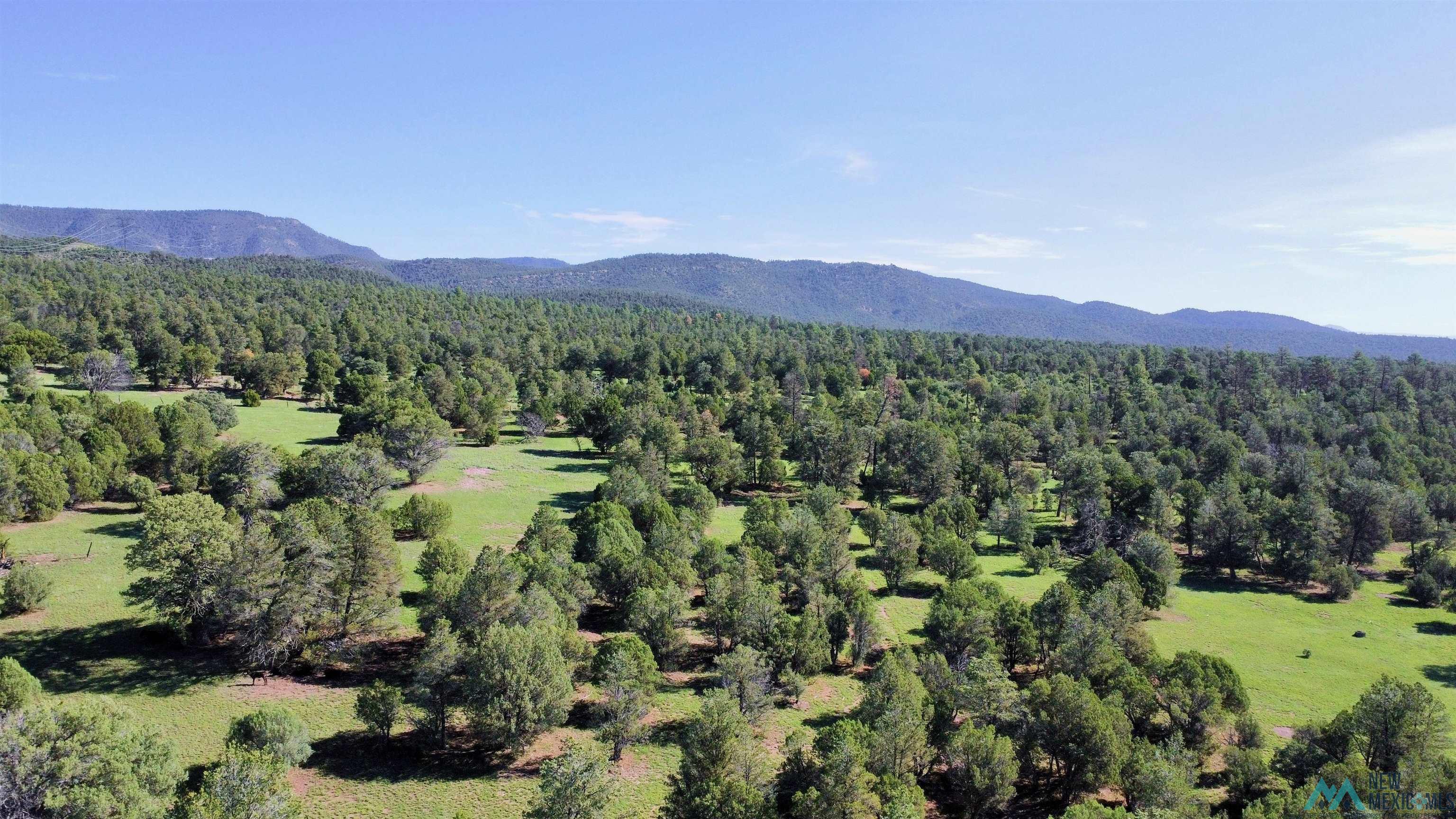 58 Brown Lane, Reserve, New Mexico image 16