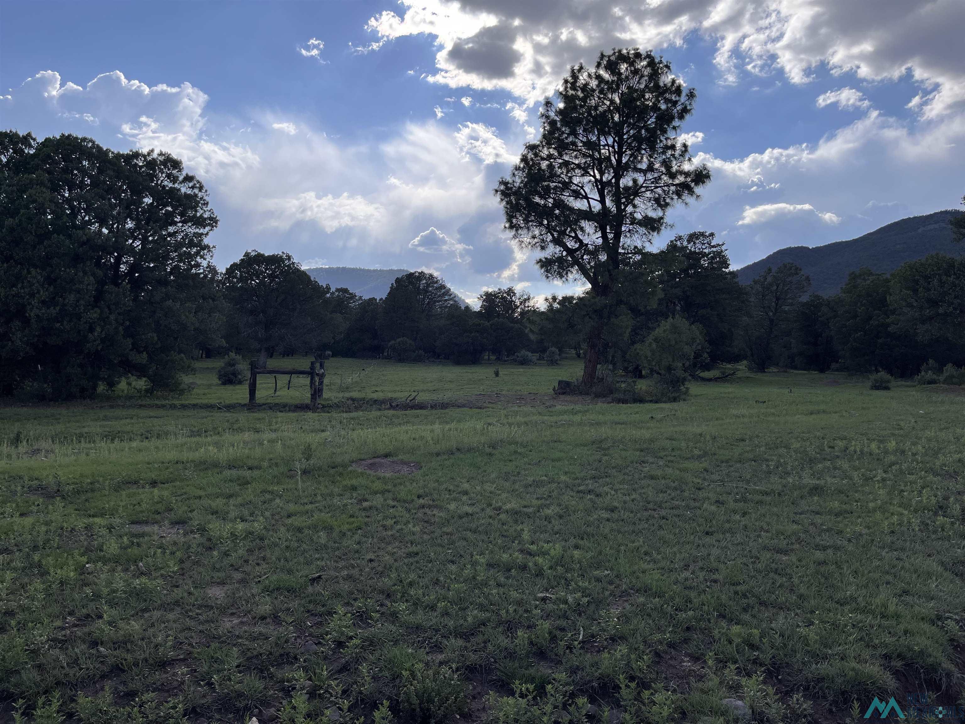 58 Brown Lane, Reserve, New Mexico image 23