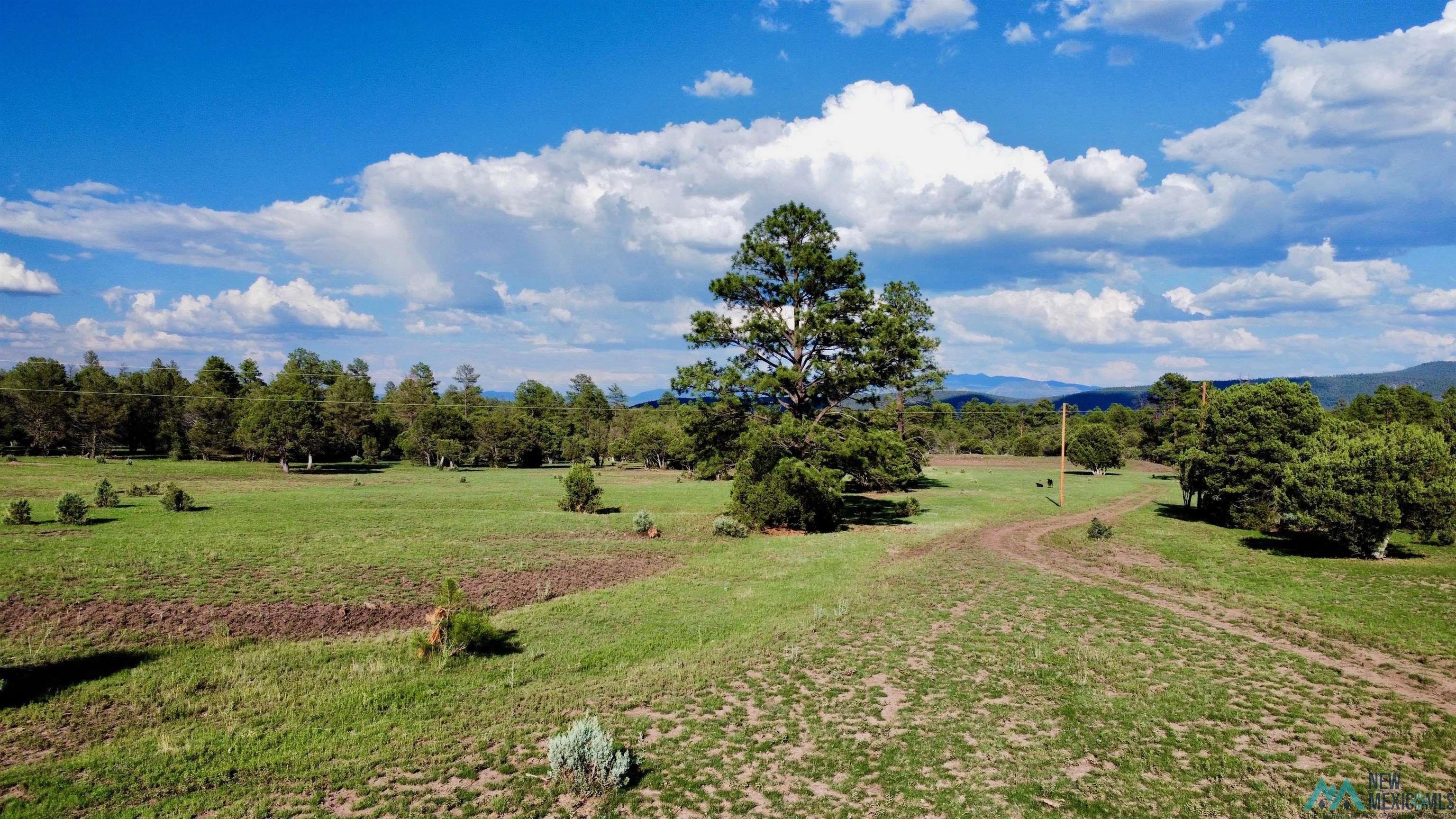 58 Brown Lane, Reserve, New Mexico image 4