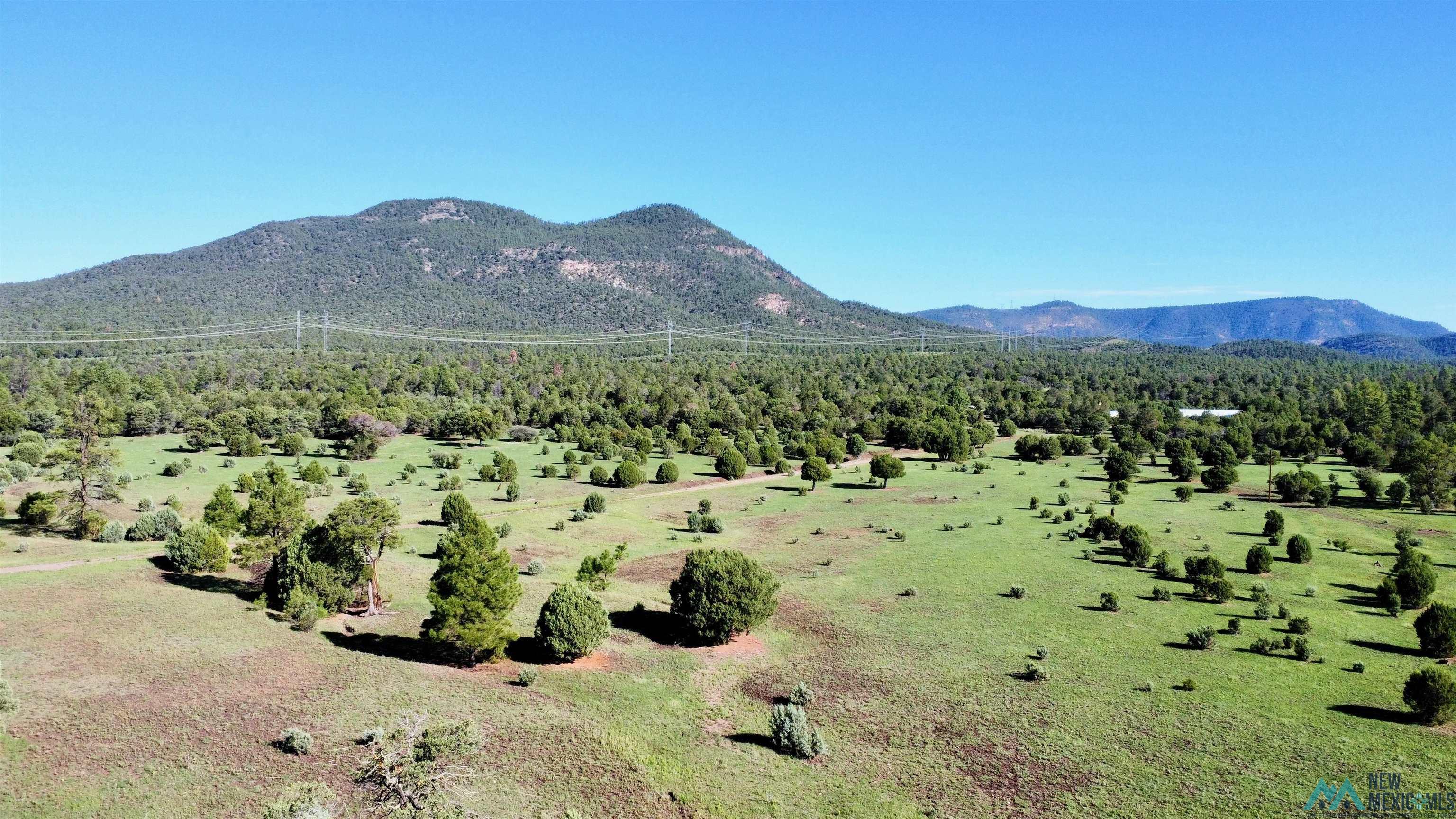 58 Brown Lane, Reserve, New Mexico image 1