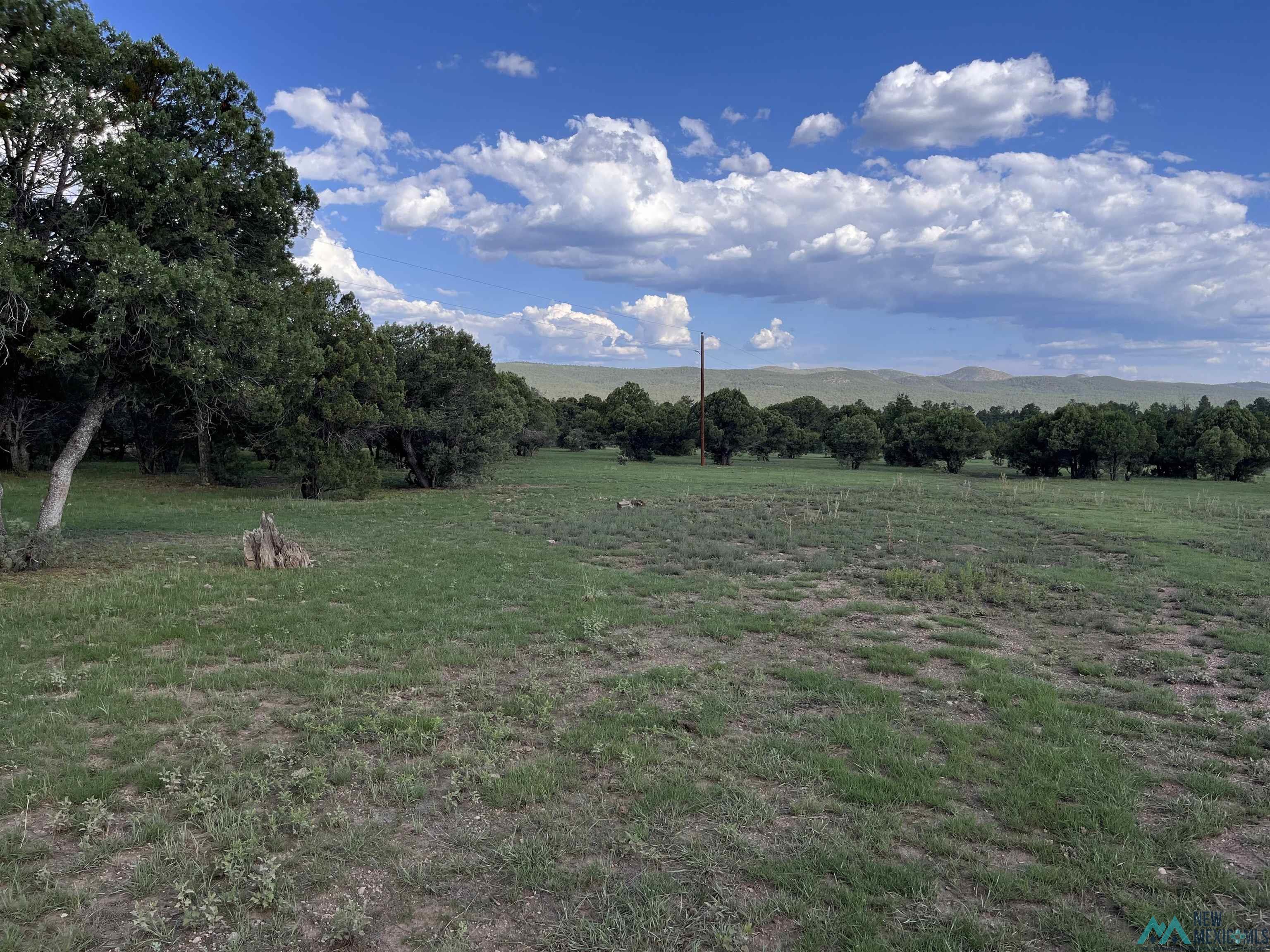 58 Brown Lane, Reserve, New Mexico image 19