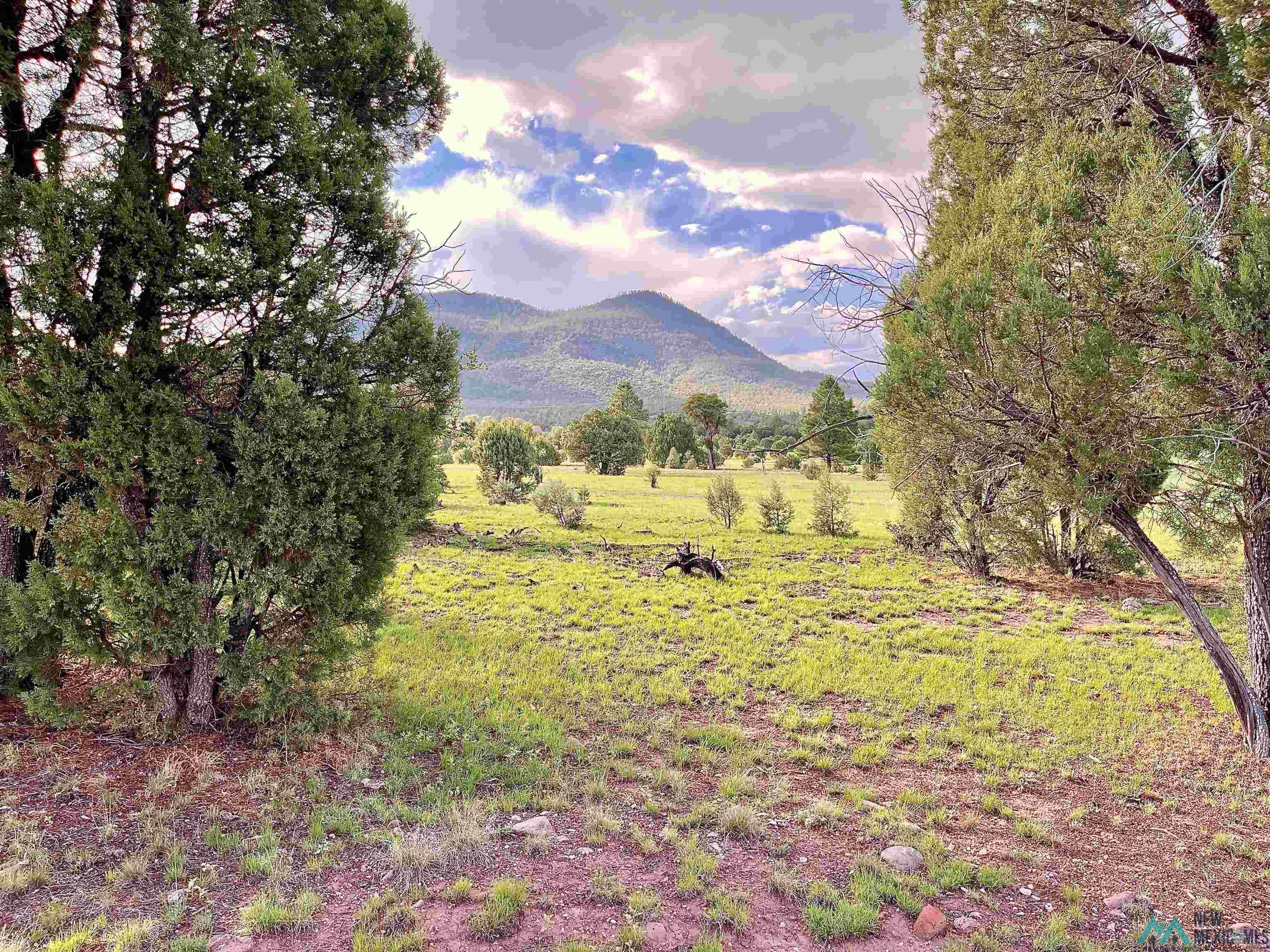 58 Brown Lane, Reserve, New Mexico image 2