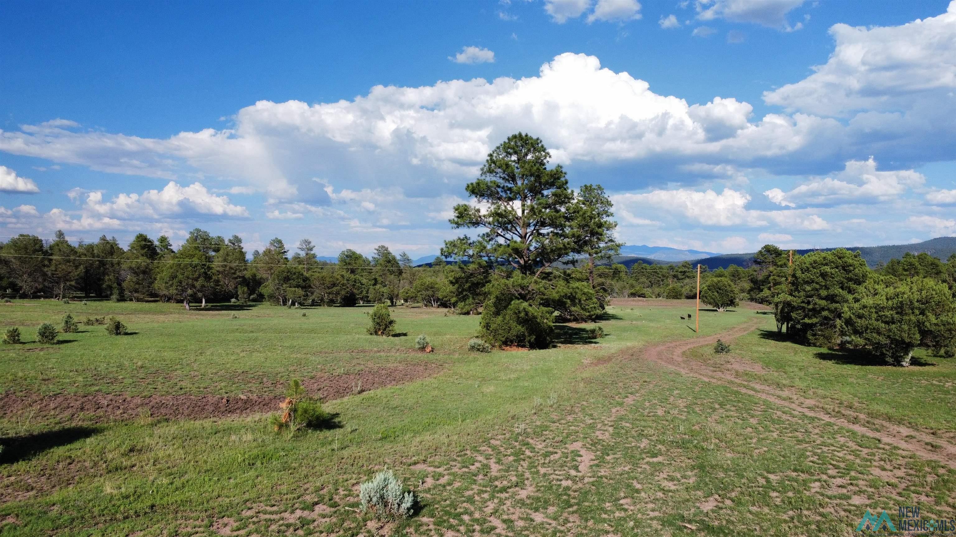 58 Brown Lane, Reserve, New Mexico image 13