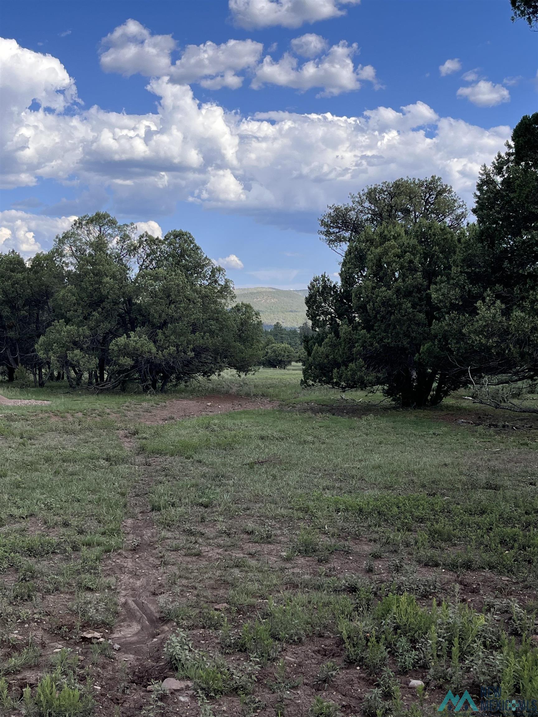 58 Brown Lane, Reserve, New Mexico image 24