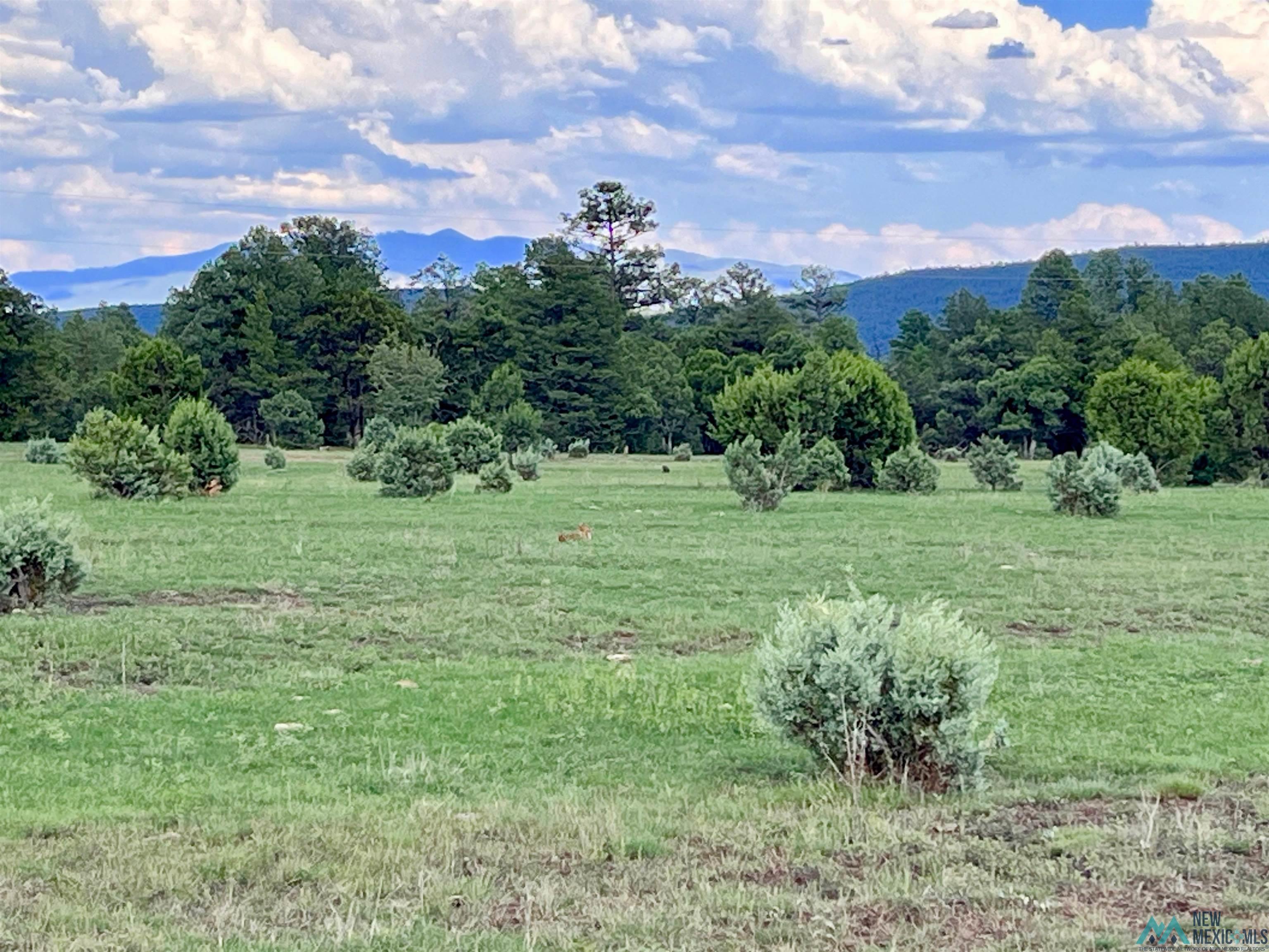 58 Brown Lane, Reserve, New Mexico image 17
