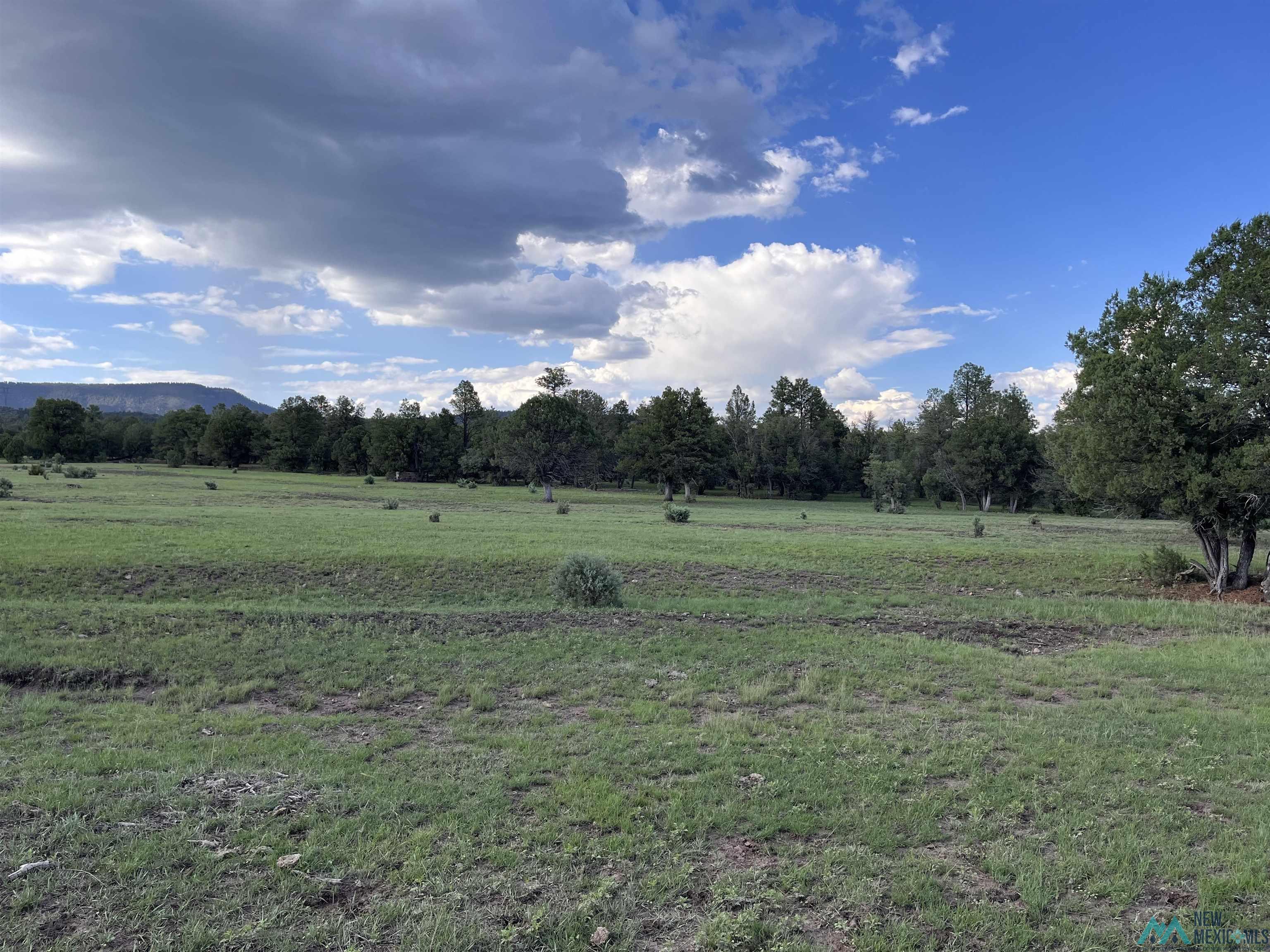 58 Brown Lane, Reserve, New Mexico image 22