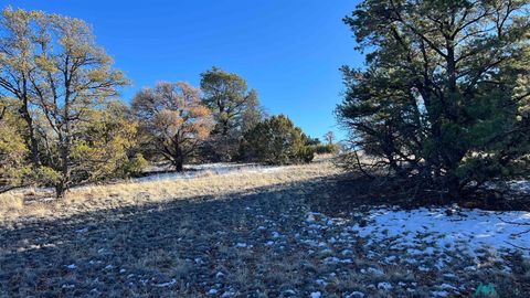 Vacant Land For Sale - TBD Chamisa Road<br/> Quemado, NM 87829