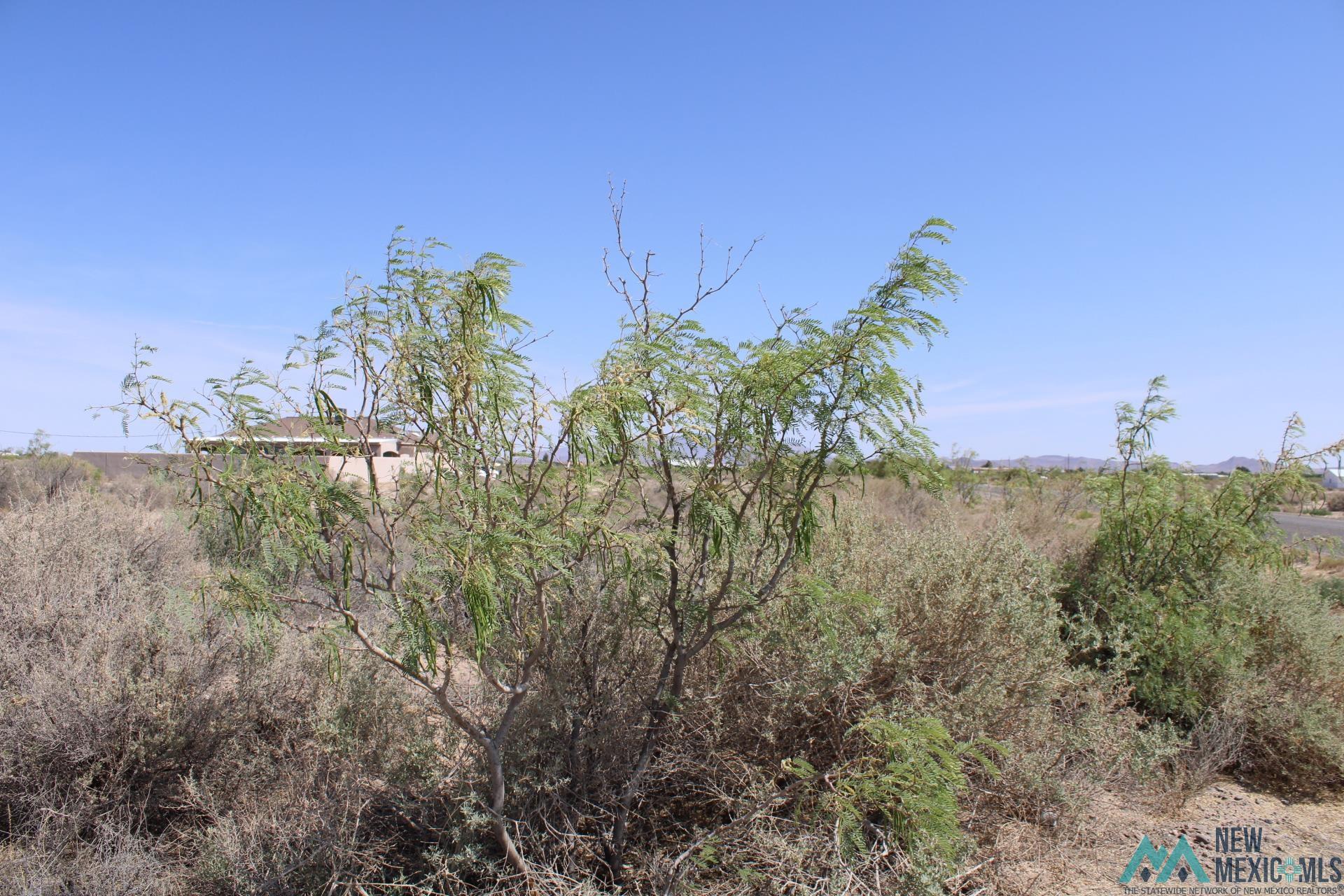 Amapola Rd, Deming, New Mexico image 2