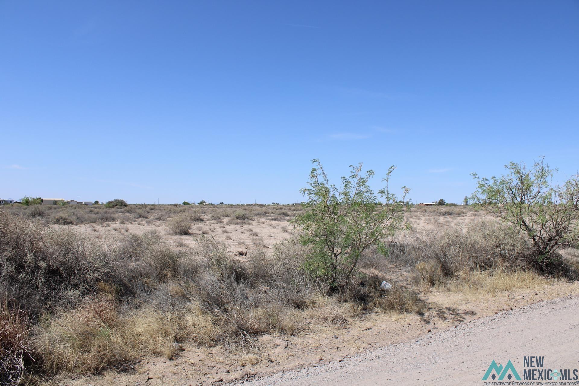 Amapola Rd, Deming, New Mexico image 8