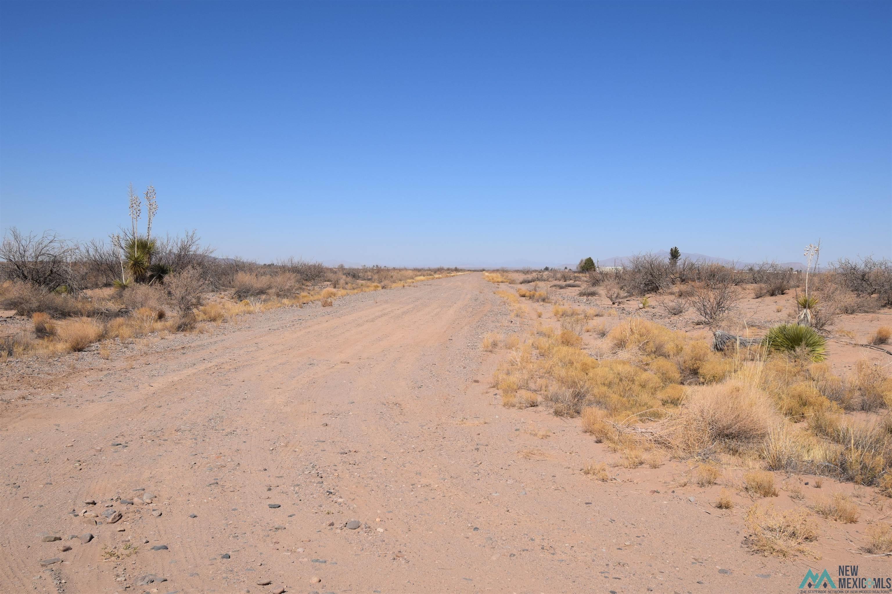 130 Bessie Drive Lot 4 St, Deming, New Mexico image 4