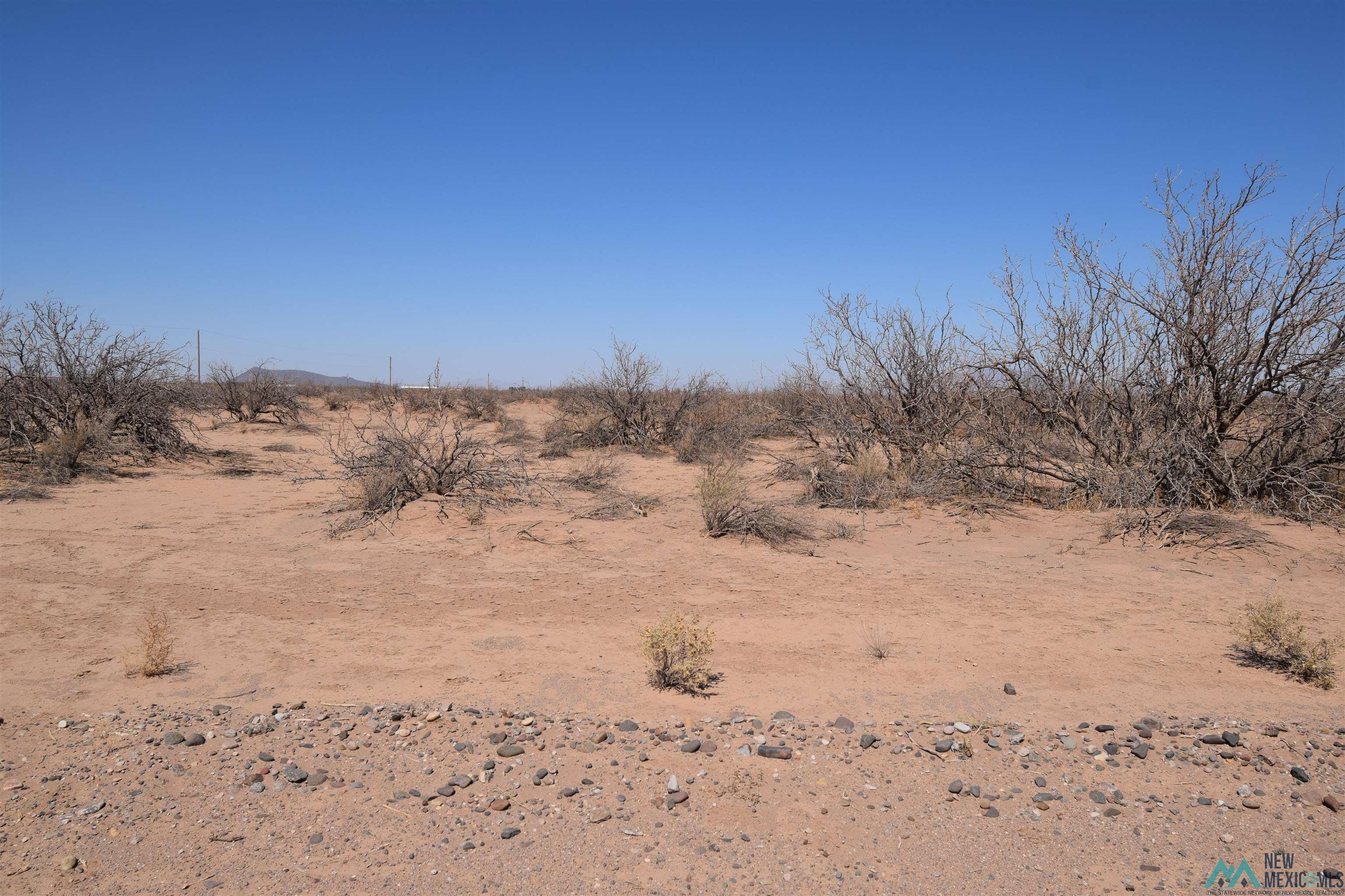 130 Bessie Drive Lot 4 St, Deming, New Mexico image 3