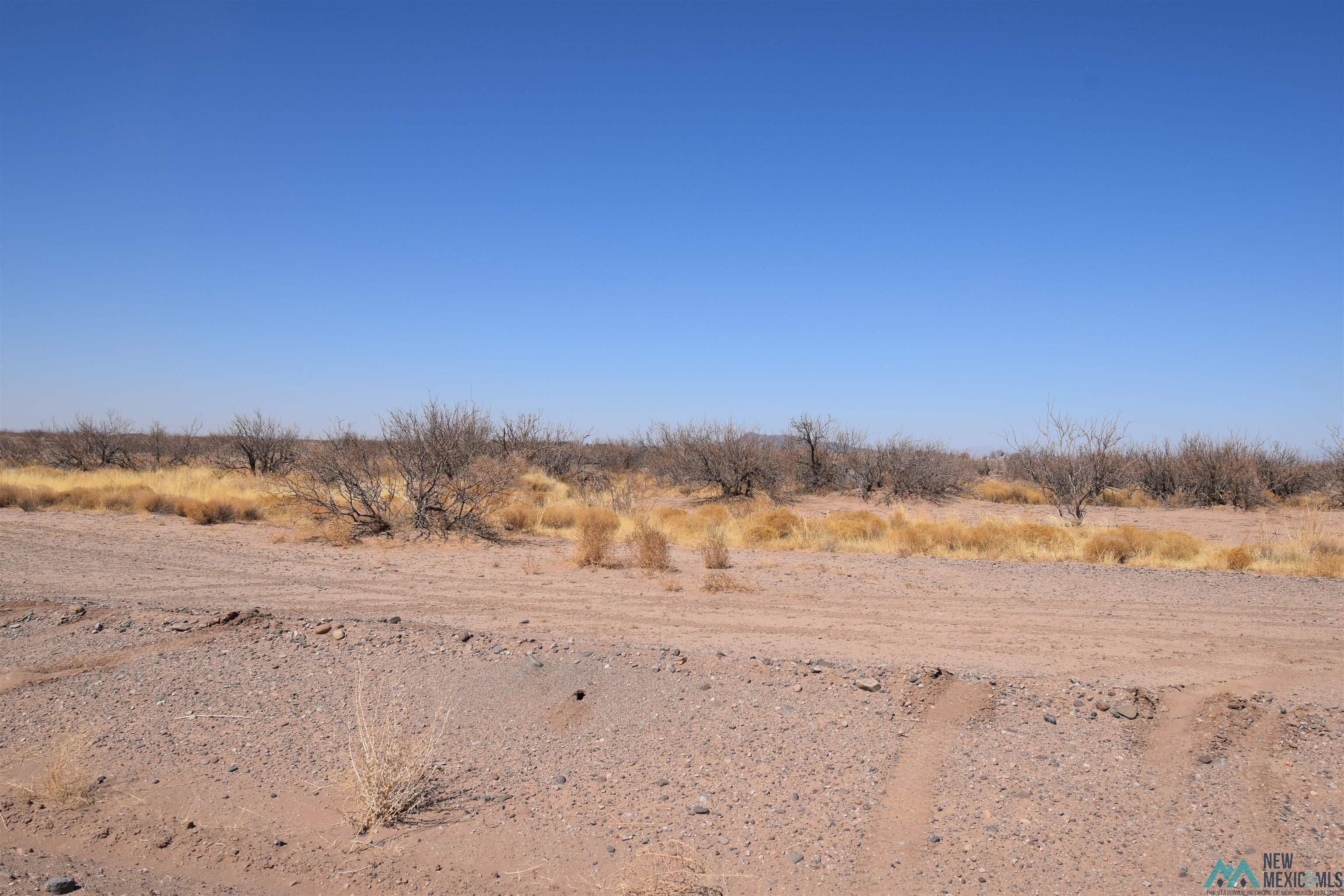 130 Bessie Drive Lot 4 St, Deming, New Mexico image 2